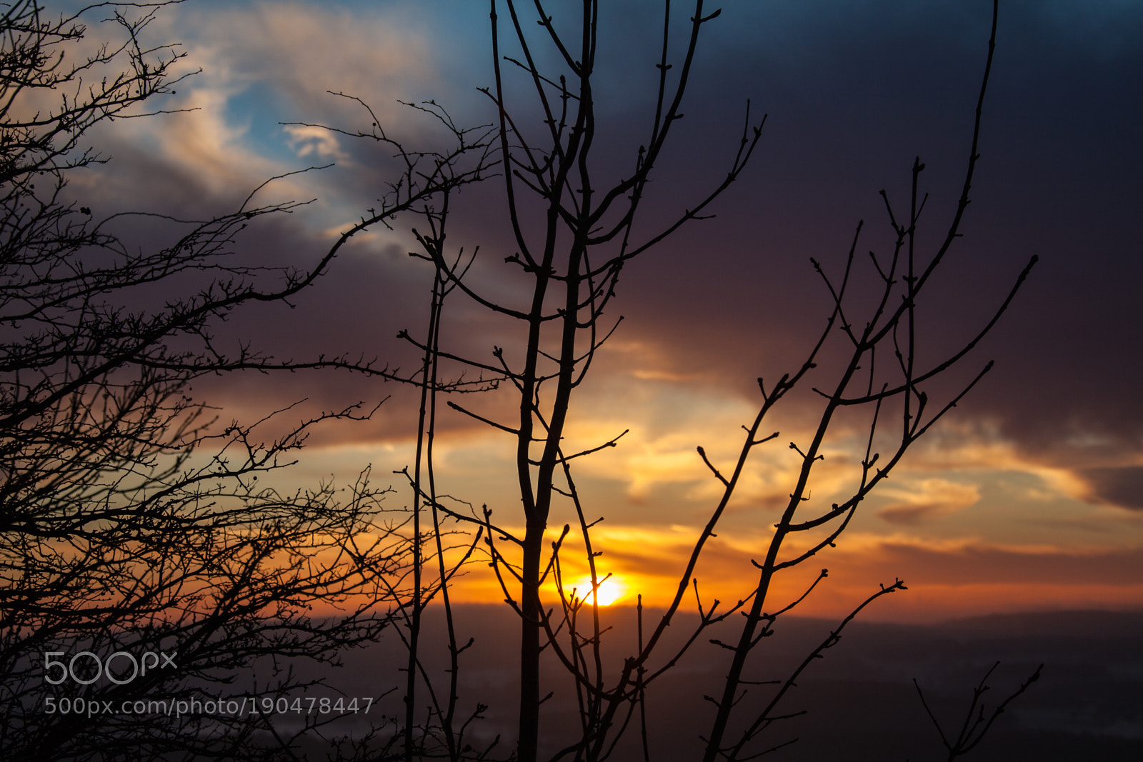 Canon EOS 5D Mark II sample photo. Untitled photography