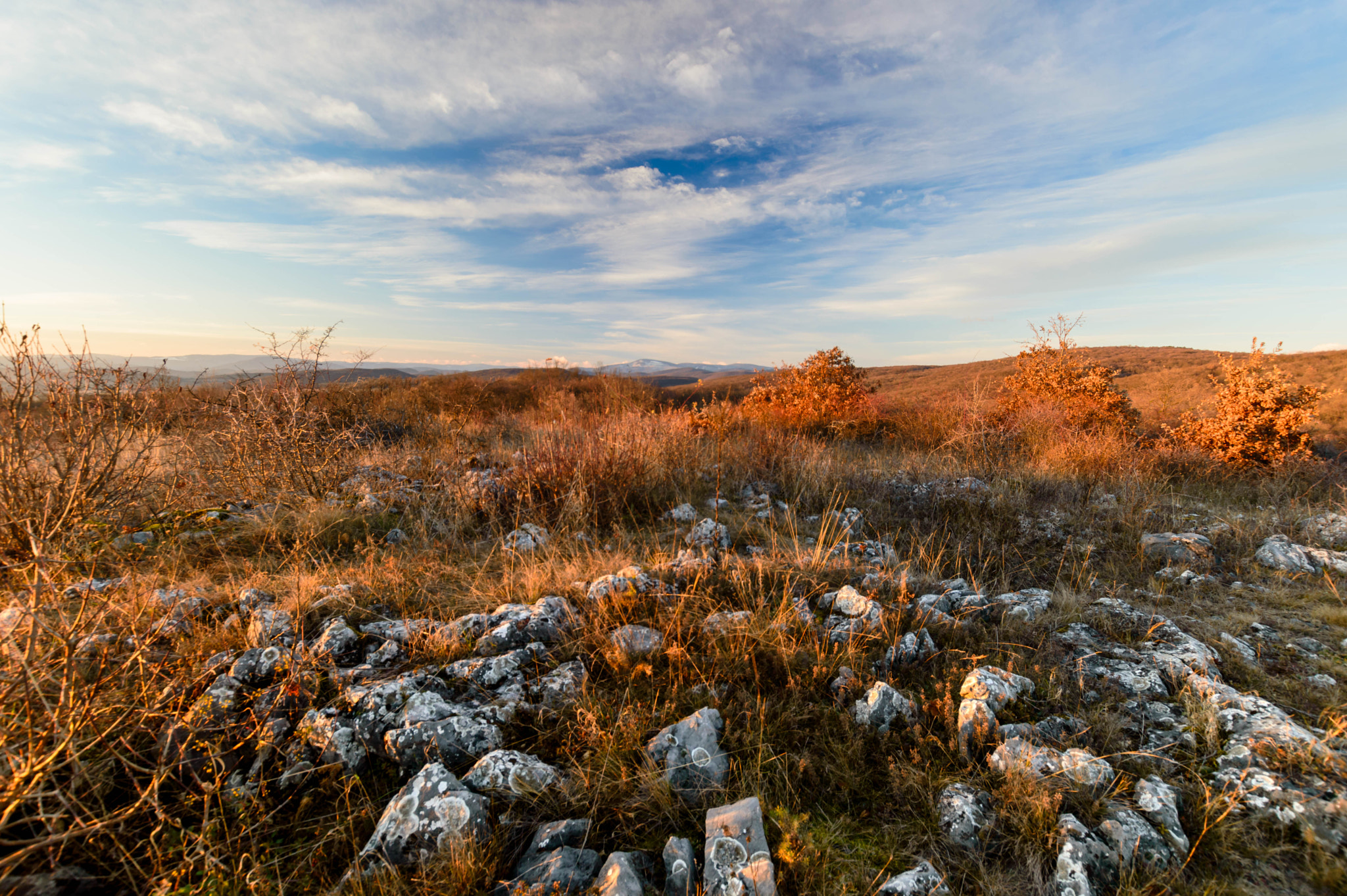 Sigma 10-20mm F3.5 EX DC HSM sample photo. Golden clearing photography