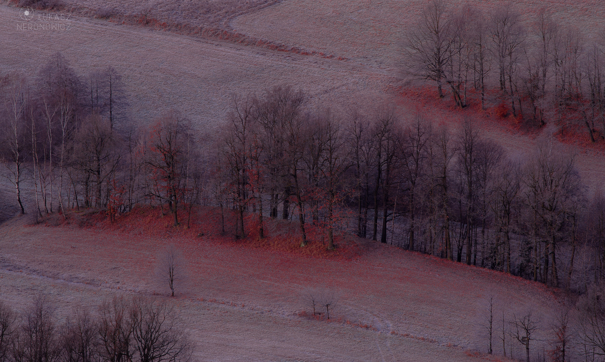 Canon EOS 6D sample photo. Winter in red photography