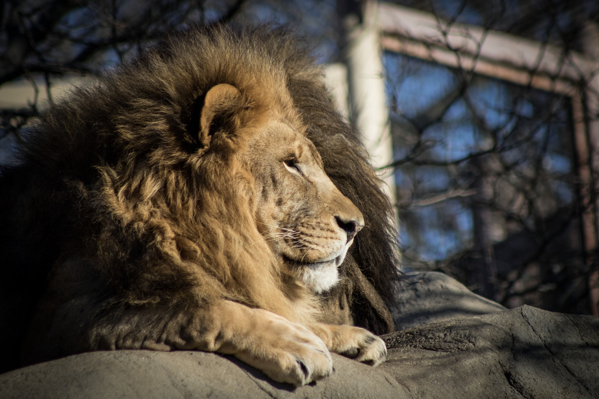 EF75-300mm f/4-5.6 sample photo. Staring photography