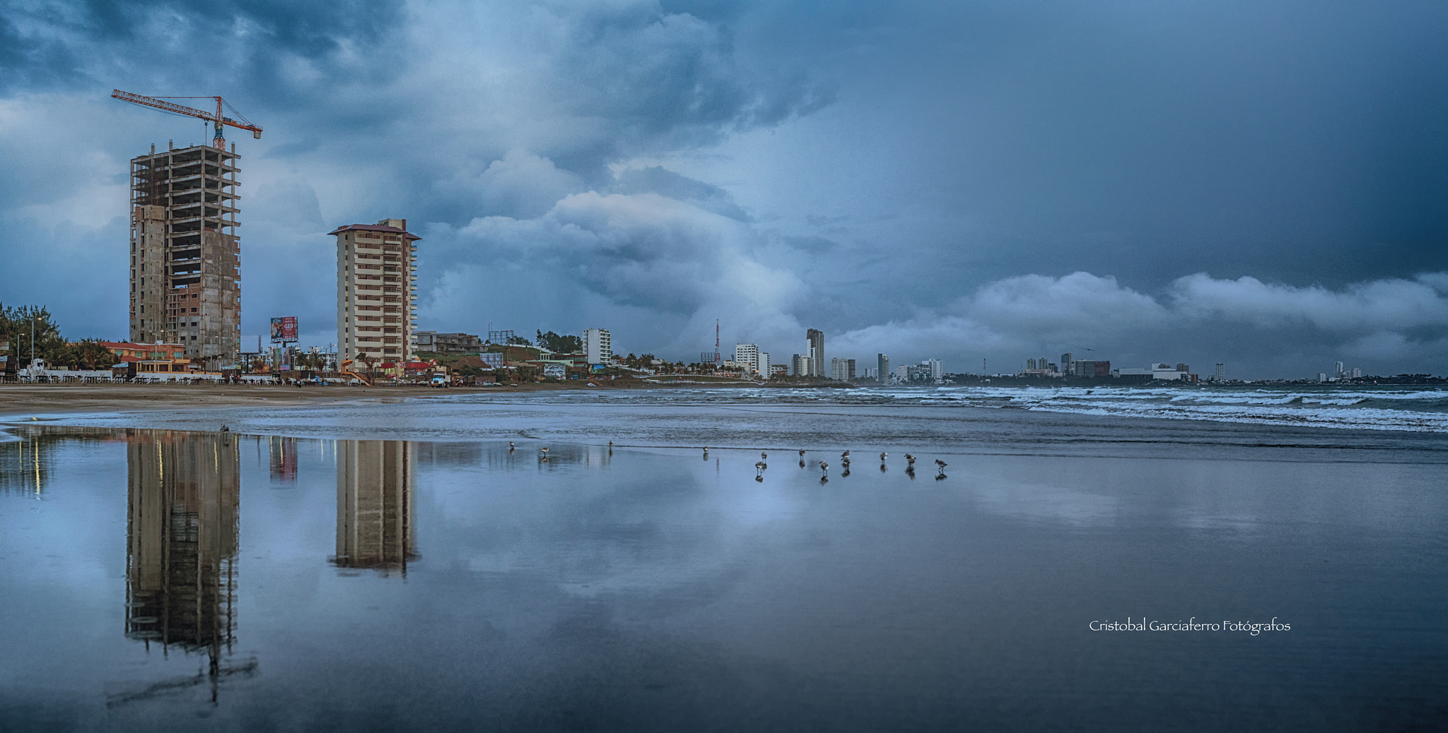 Pentax 645Z sample photo. Storm, bird and waves in the beach photography