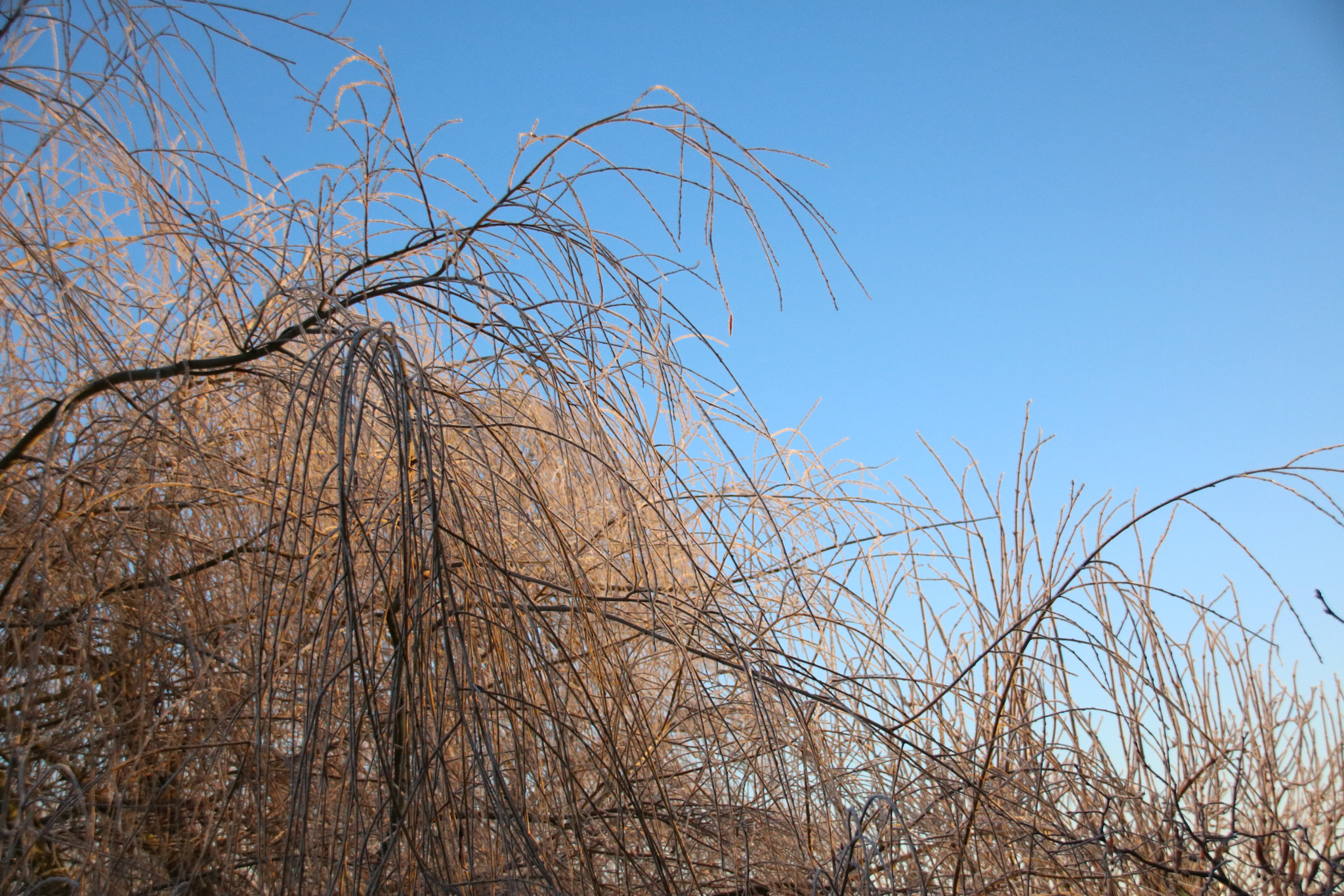 Sigma 18-250mm F3.5-6.3 DC OS HSM sample photo. Img photography