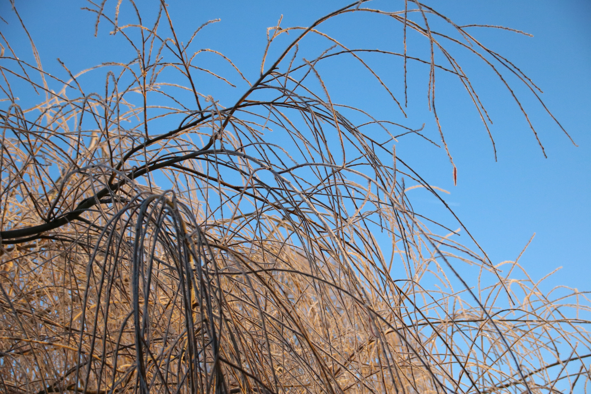 Sigma 18-250mm F3.5-6.3 DC OS HSM sample photo. Img photography