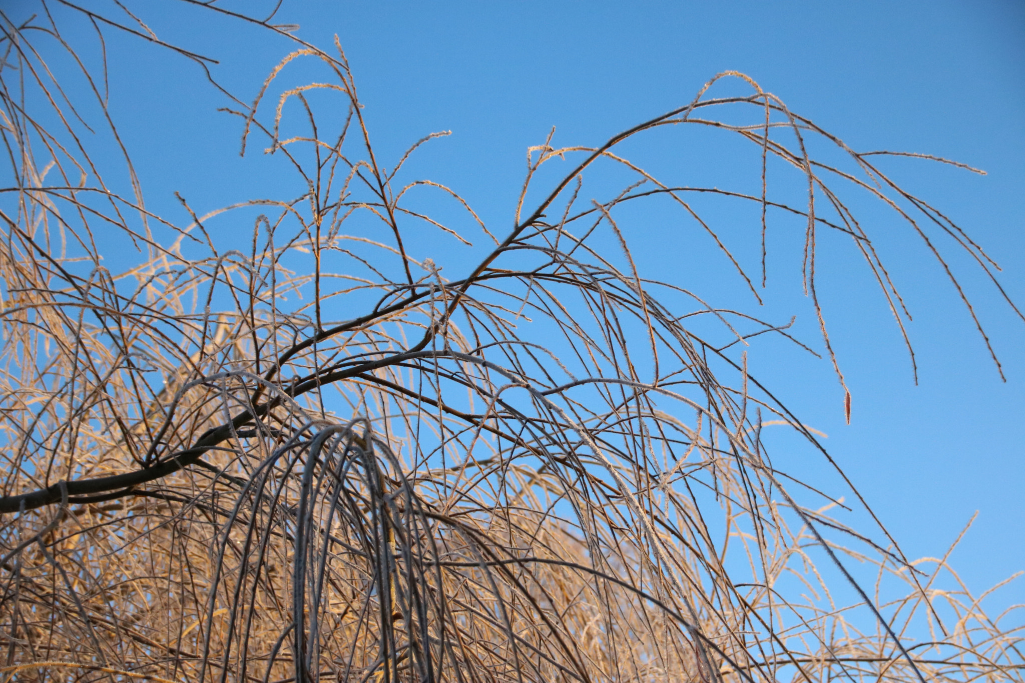 Sigma 18-250mm F3.5-6.3 DC OS HSM sample photo. Img photography