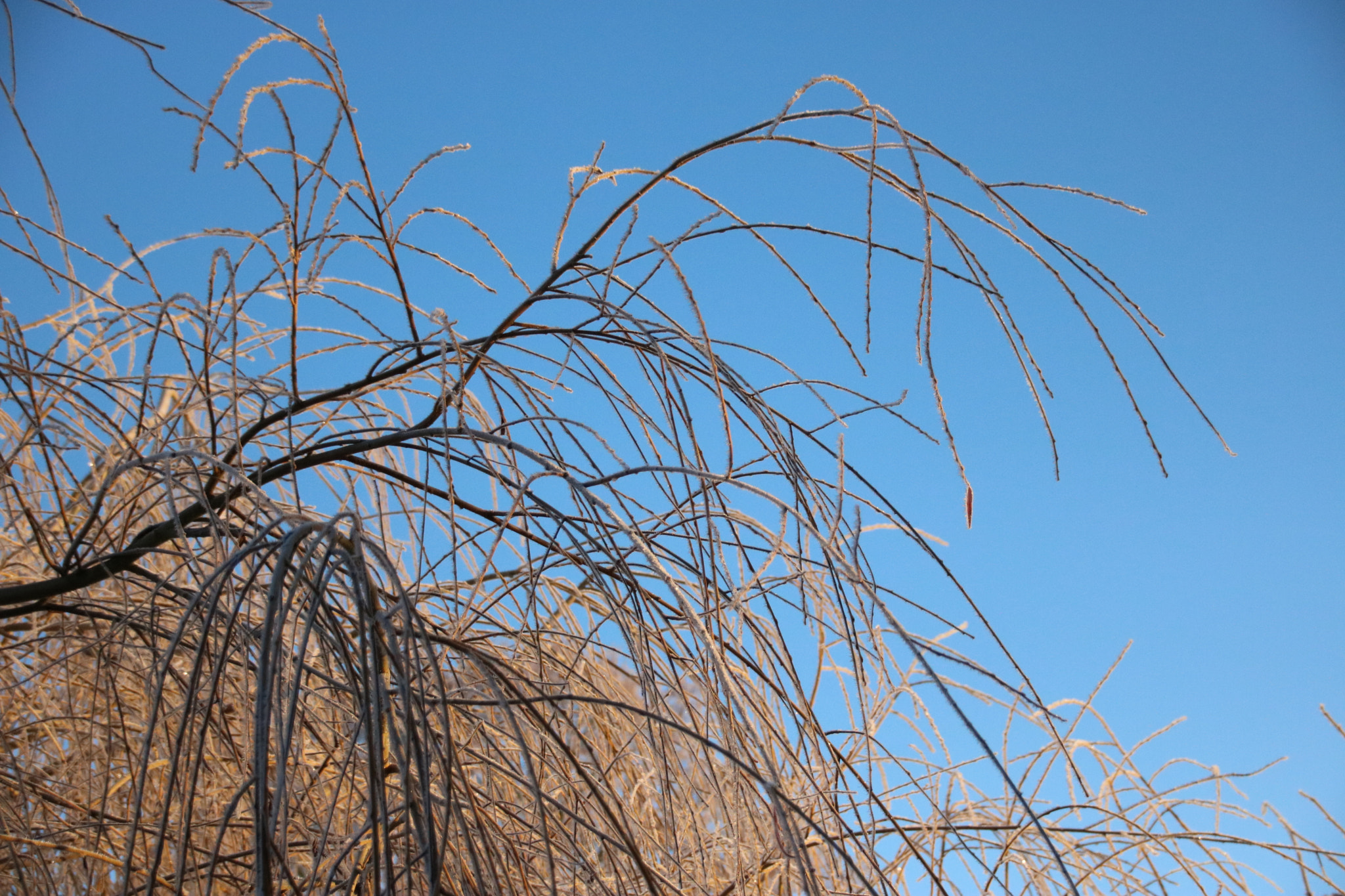 Sigma 18-250mm F3.5-6.3 DC OS HSM sample photo. Img photography