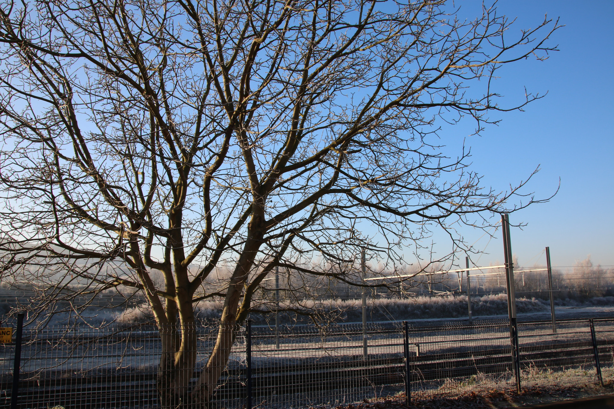 Sigma 18-250mm F3.5-6.3 DC OS HSM sample photo. Img photography