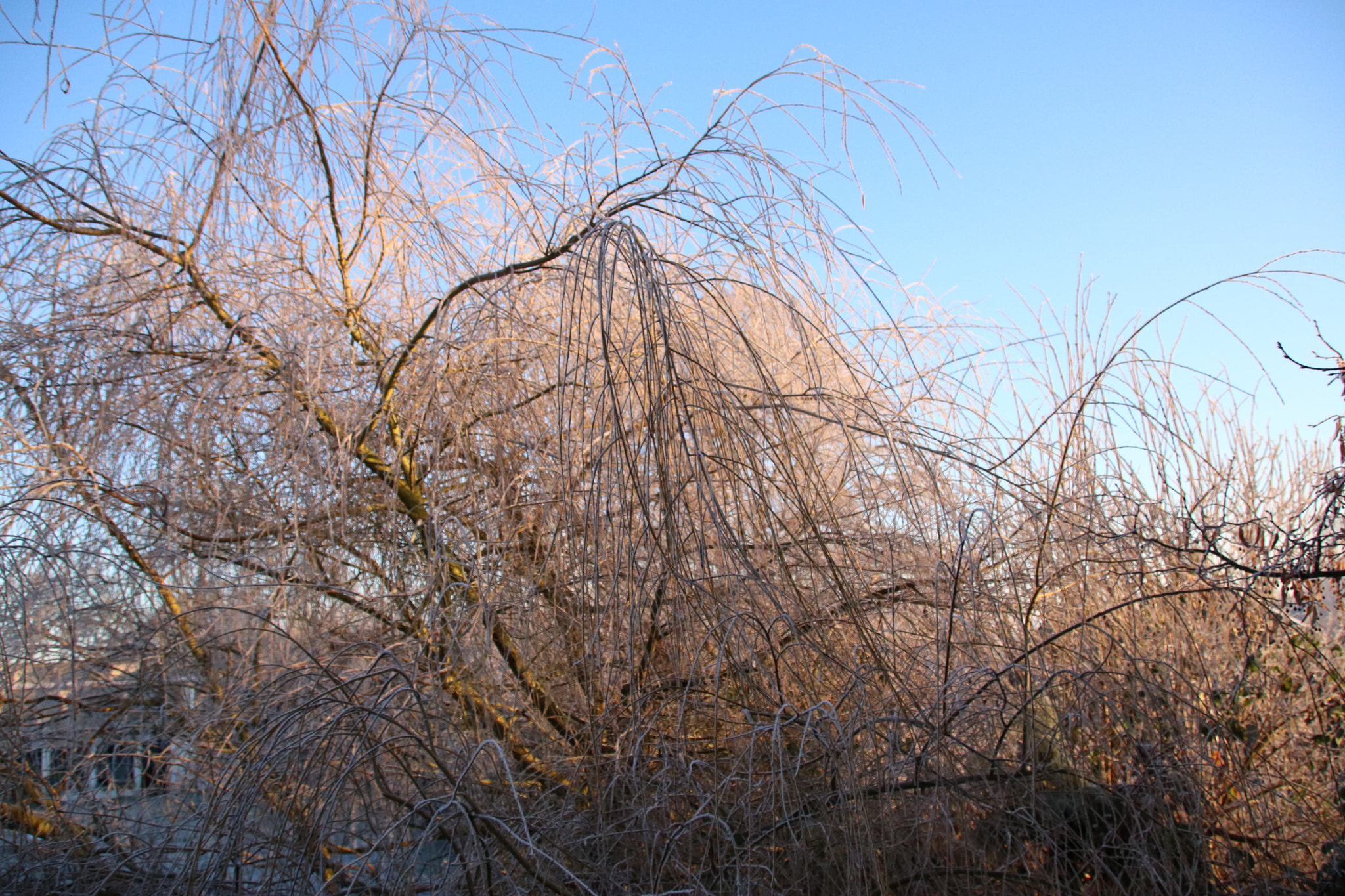 Sigma 18-250mm F3.5-6.3 DC OS HSM sample photo. Img photography