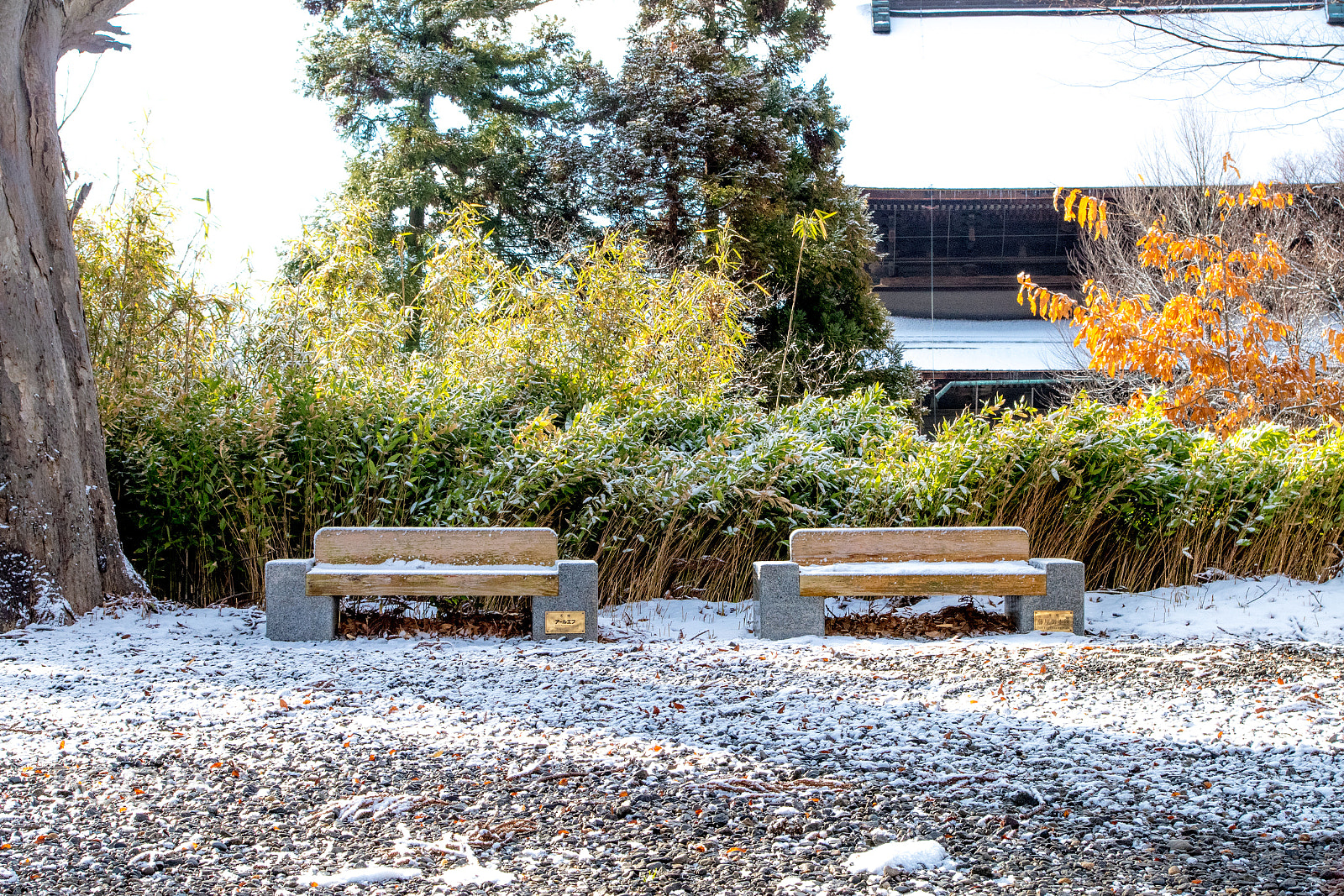 smc PENTAX-DA L 18-55mm F3.5-5.6 sample photo. Temple garden photography