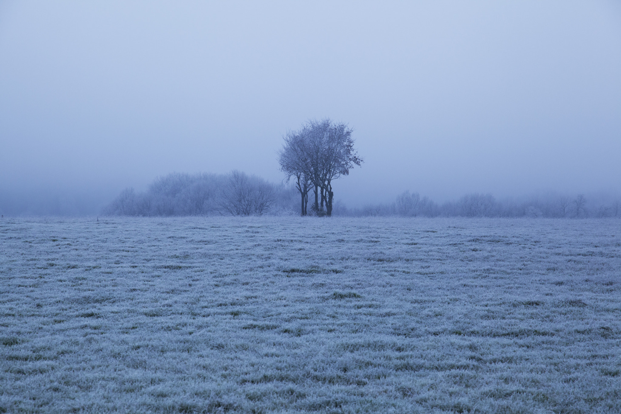Canon EF 24-105mm F3.5-5.6 IS STM sample photo. Winter spirit photography