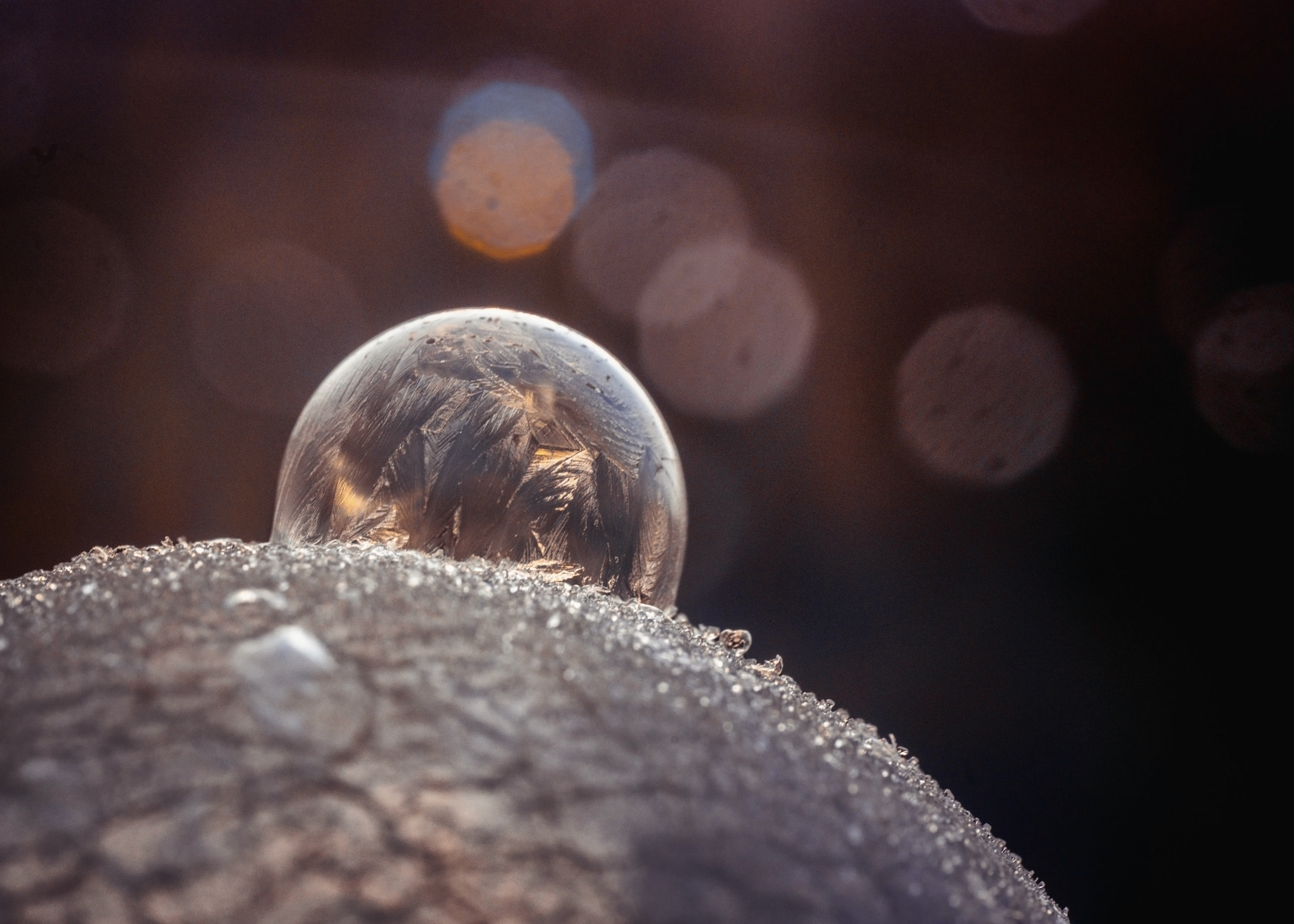 Nikon D800 sample photo. Frozen bubble photography