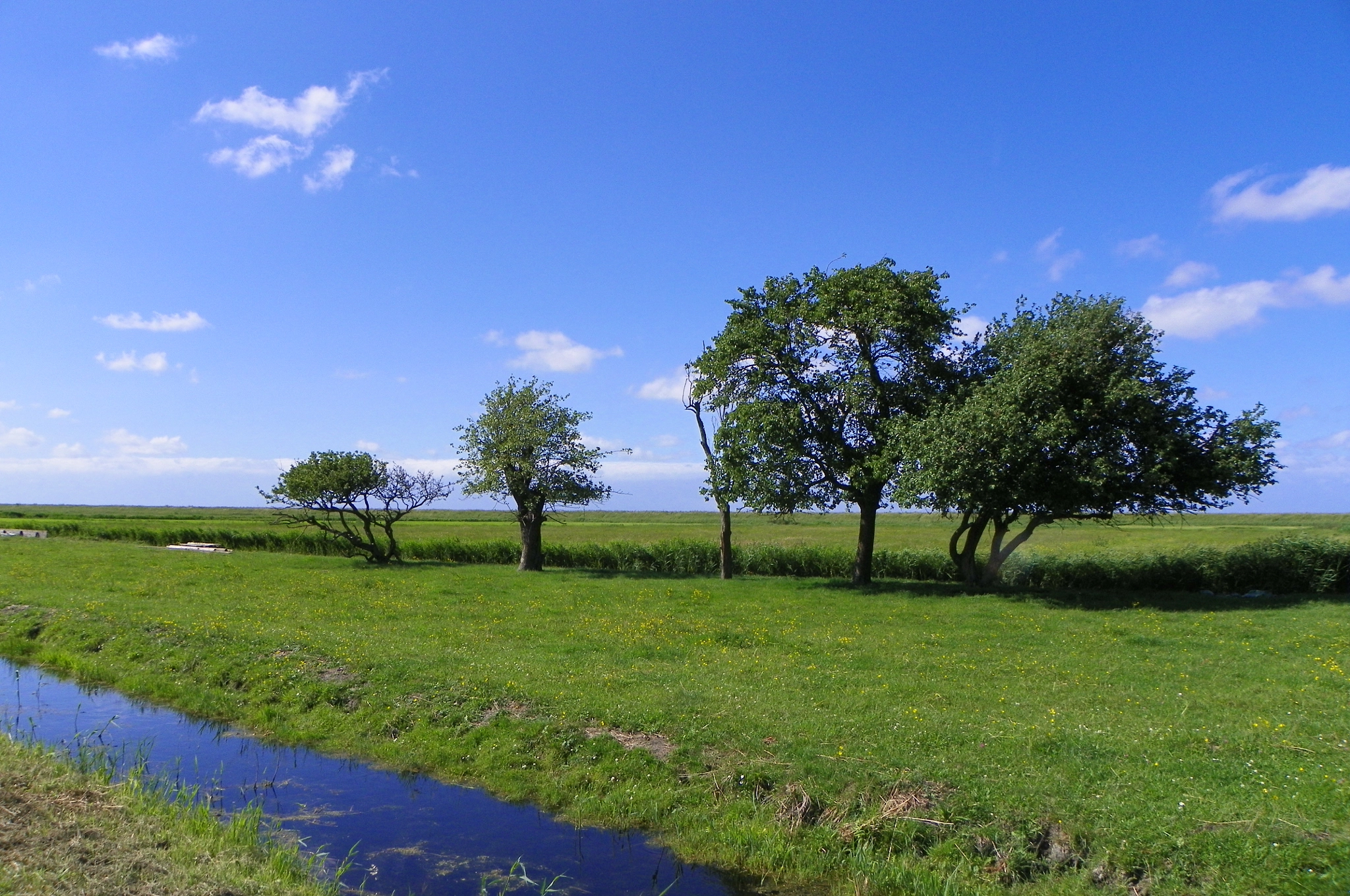 Kodak EasyShare Z981 sample photo. Landschap langs het (countryside along the) oosterpad op marken, north-holland, netherlands photography