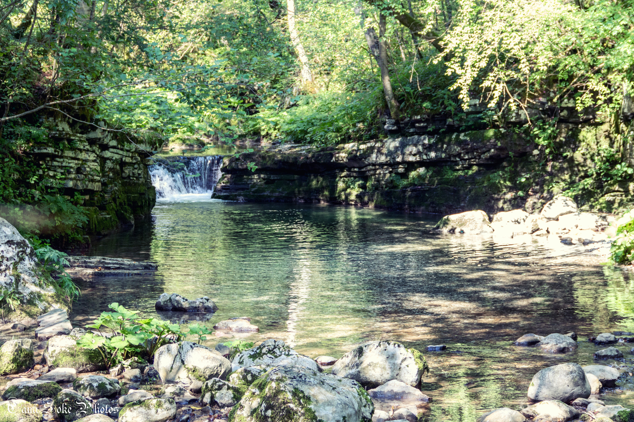 Canon EOS 760D (EOS Rebel T6s / EOS 8000D) sample photo. Peaceful river photography