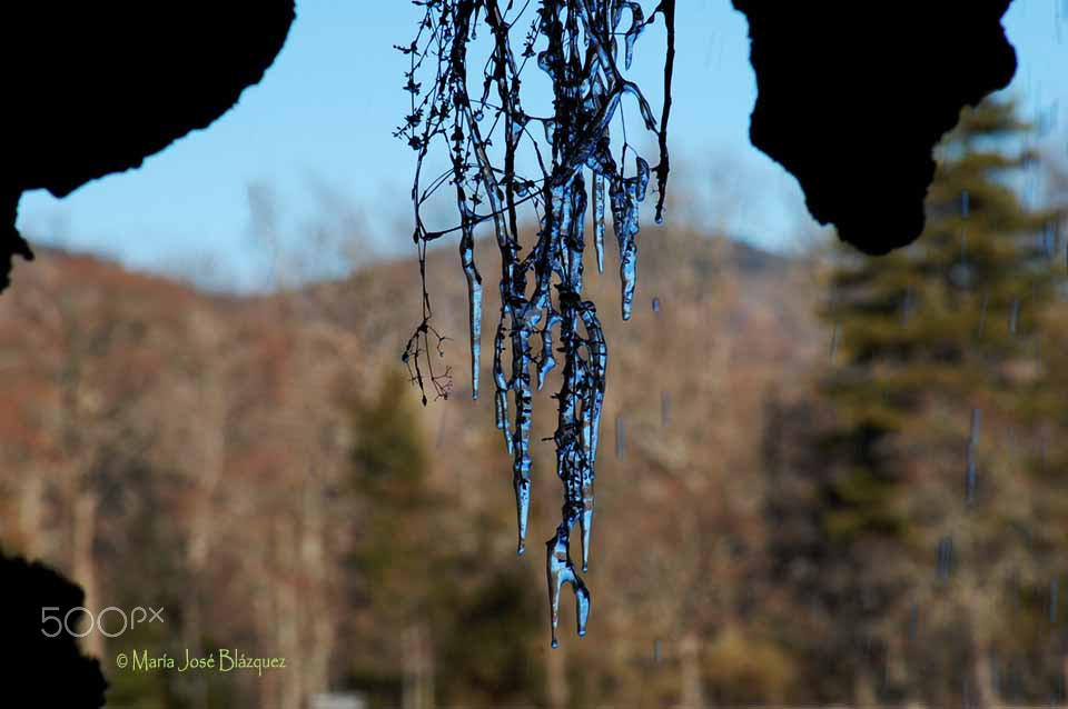 Nikon D40 sample photo. Figuras de hielo photography