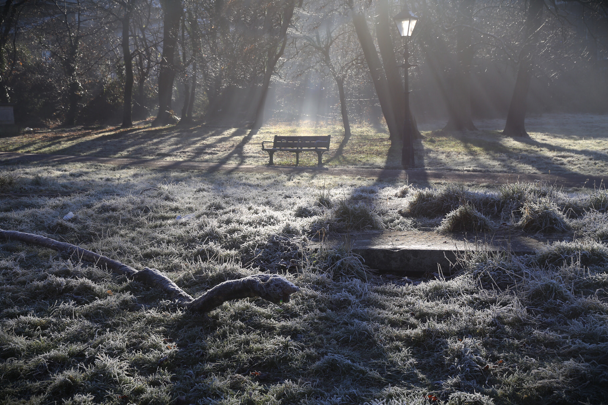 Canon EF 24-105mm F3.5-5.6 IS STM sample photo. Take a seat photography