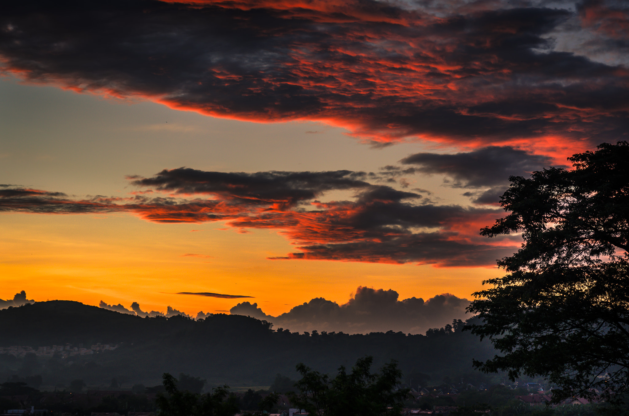 Nikon D5100 + Sigma 50mm F1.4 DG HSM Art sample photo. Fiery morning photography