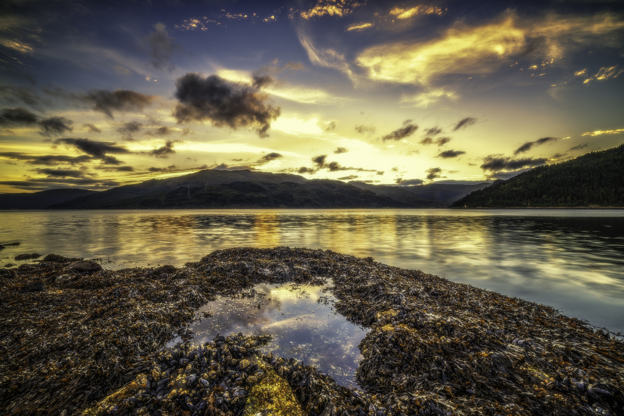 Samyang 14mm F2.8 ED AS IF UMC sample photo. Summer past photography