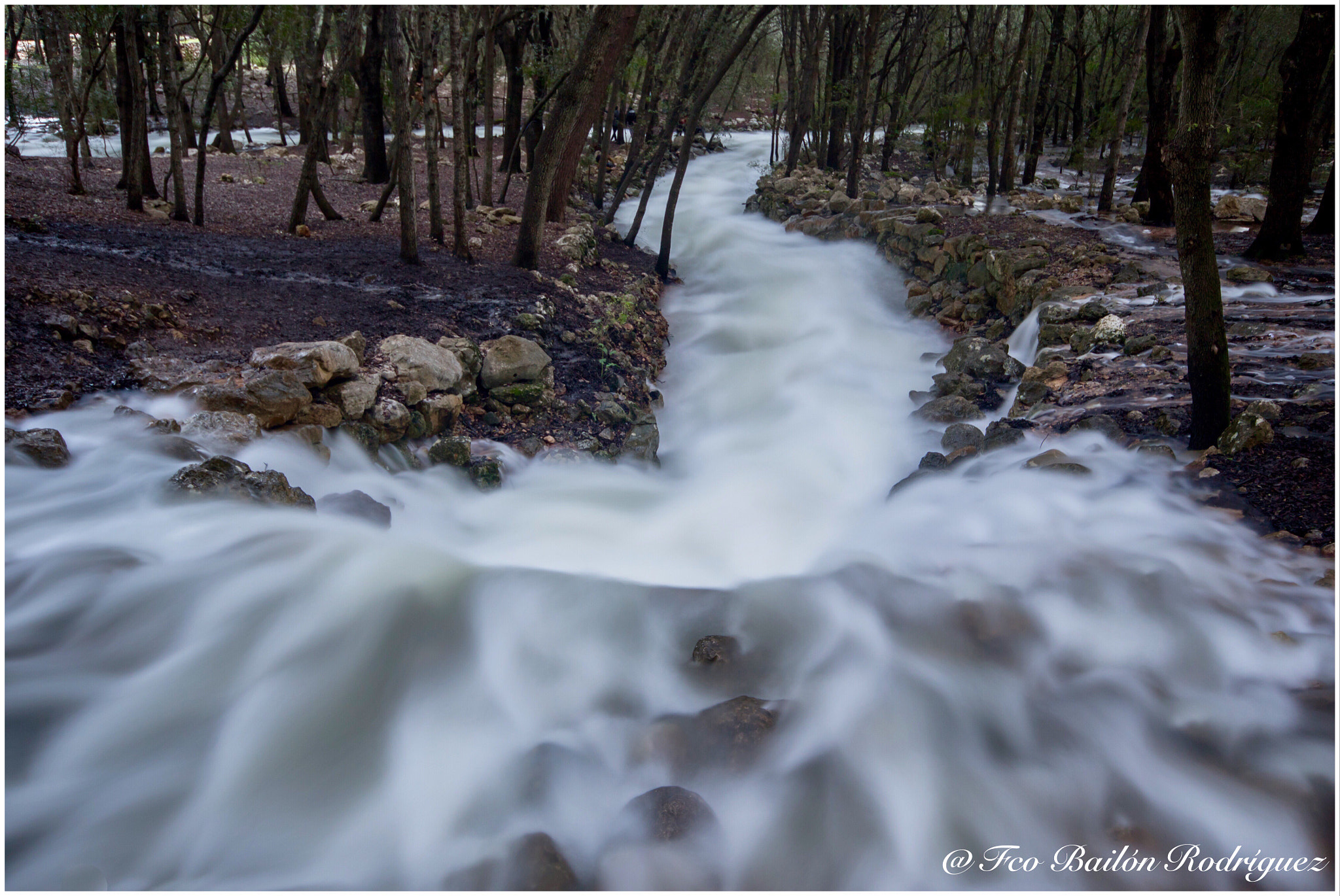Sigma 10-20mm F4-5.6 EX DC HSM sample photo. Fonts ufanes (campanet, mallorca) photography