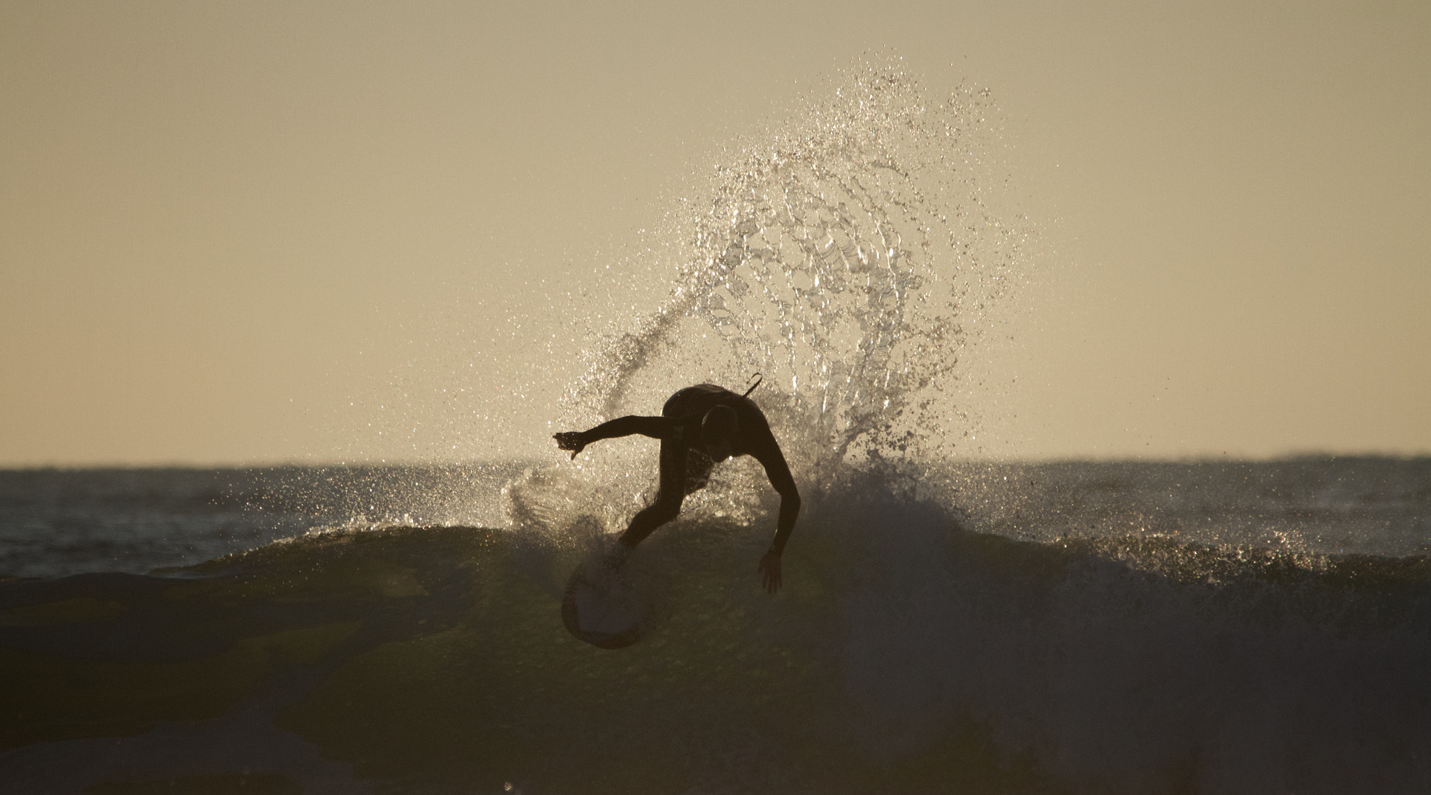 Sigma 150-500mm F5-6.3 DG OS HSM sample photo. Img photography