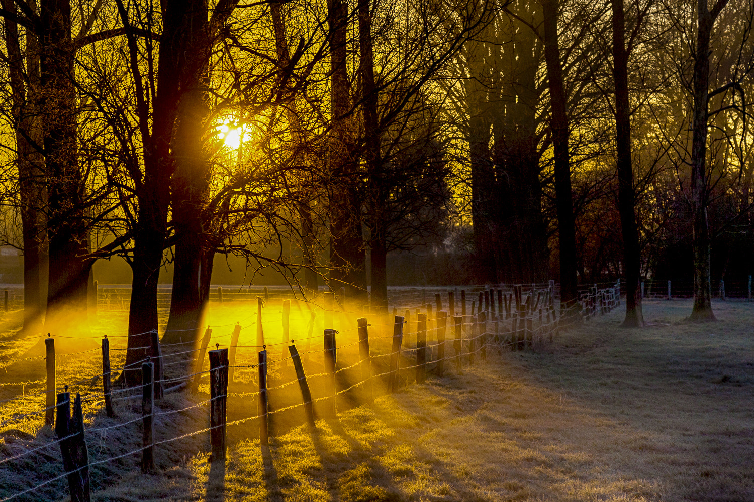 Canon EOS-1D Mark III sample photo. Fire and ice photography