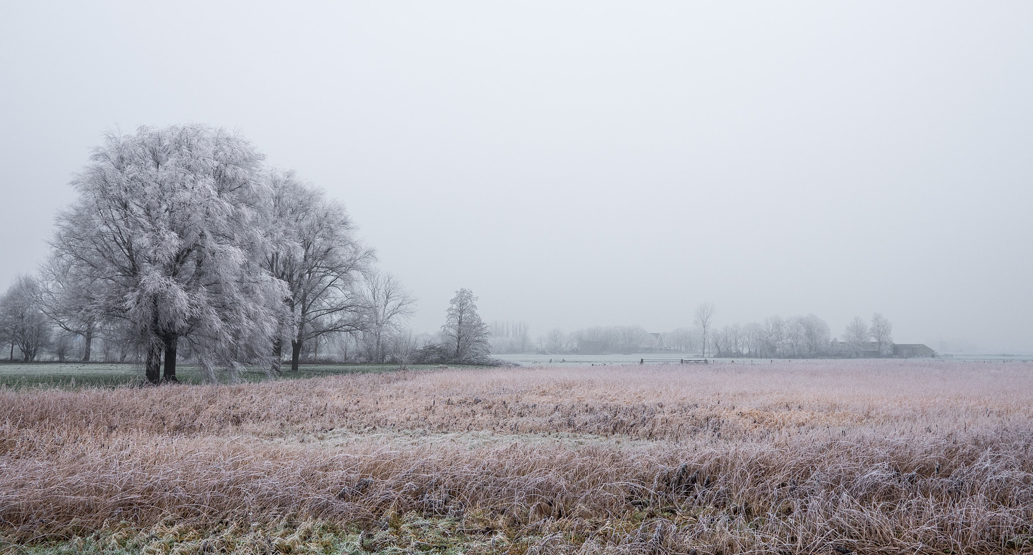 Panasonic Lumix DMC-GX8 + LUMIX G 20/F1.7 II sample photo. Winter haze photography