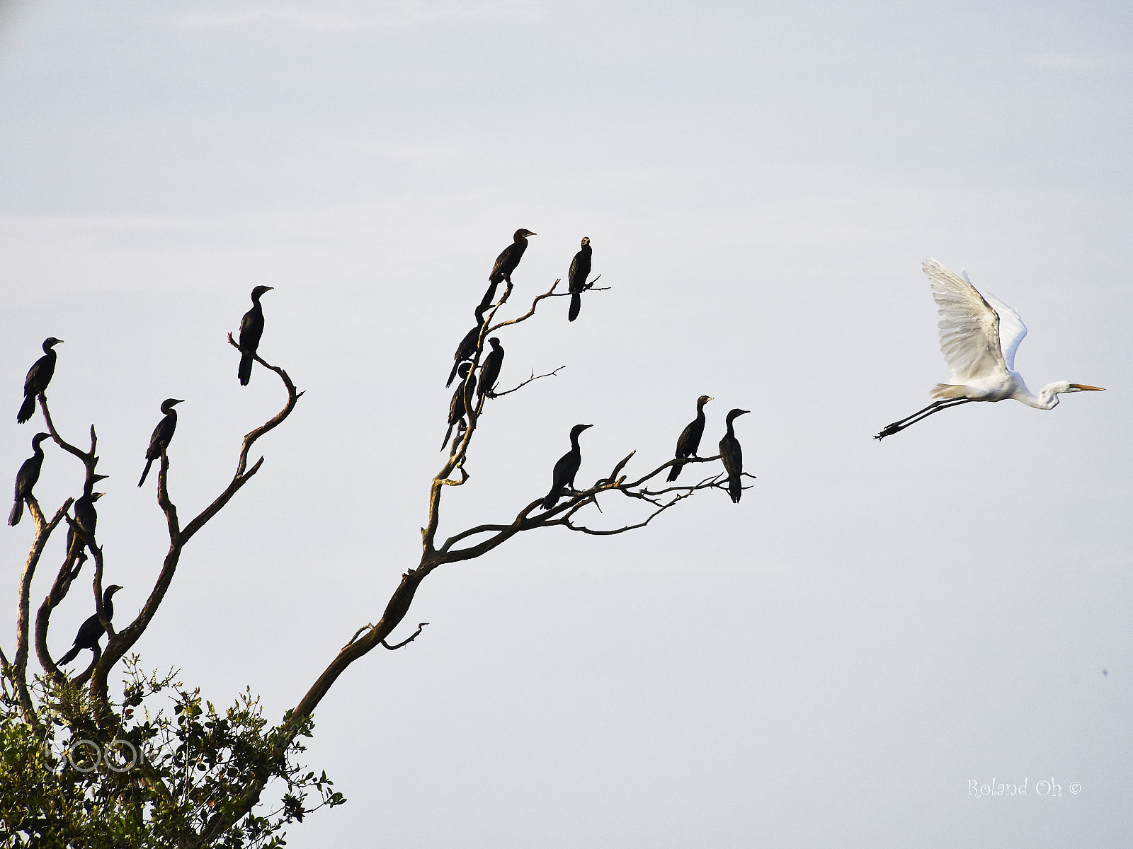 Olympus OM-D E-M10 sample photo. Hey where are you going? photography