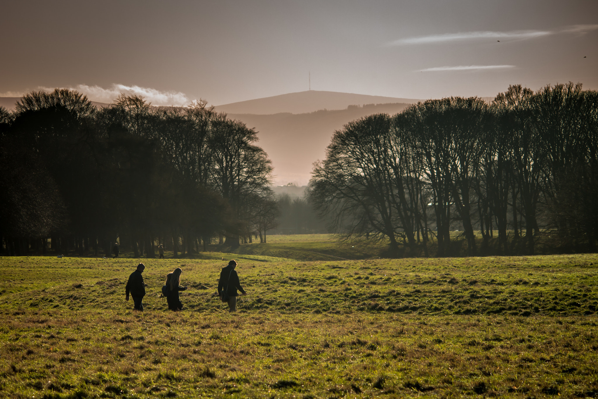 Canon EF-S 55-250mm F4-5.6 IS sample photo. Phoenix park in december photography