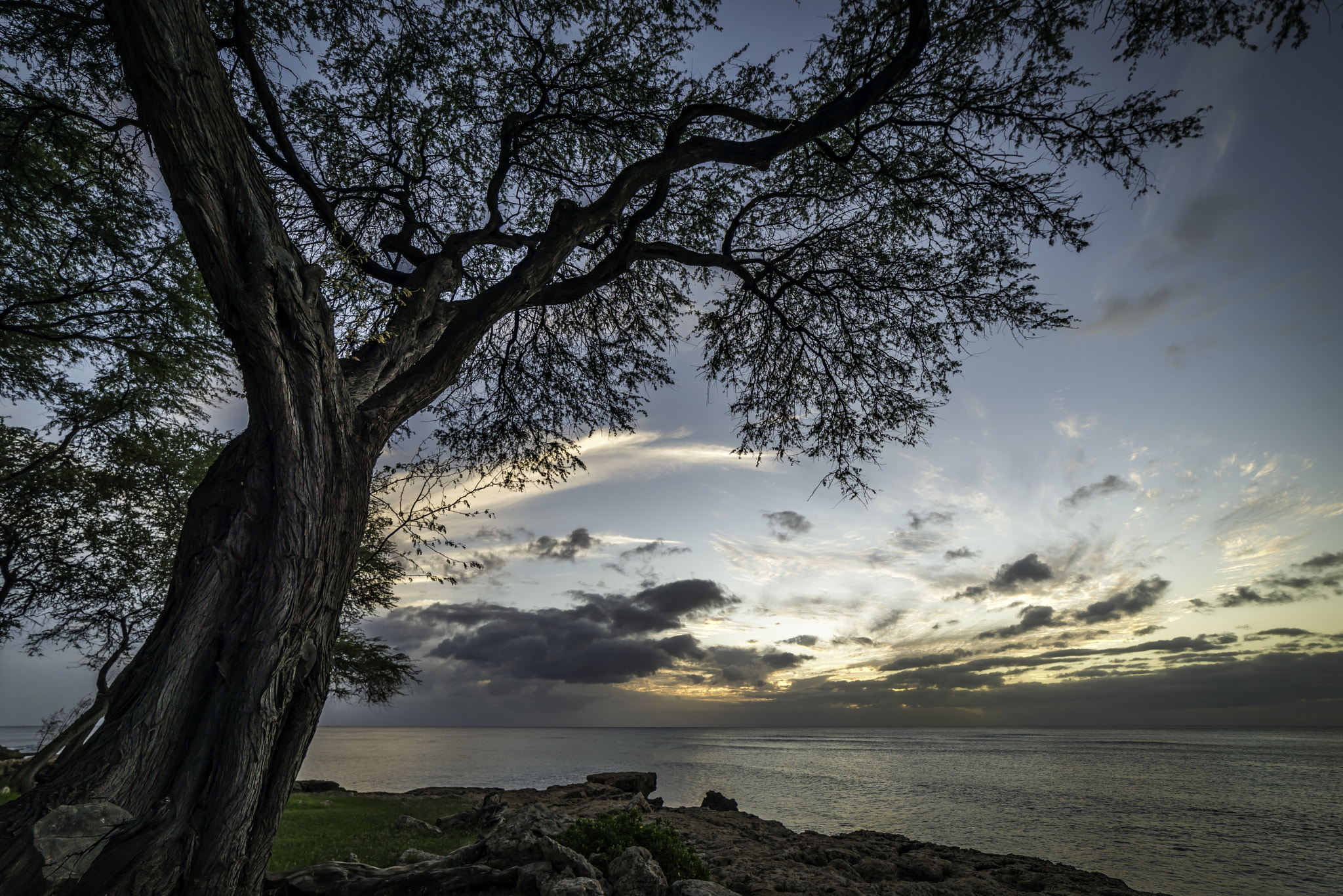 Samyang 14mm F2.8 ED AS IF UMC sample photo. West side sunset photography