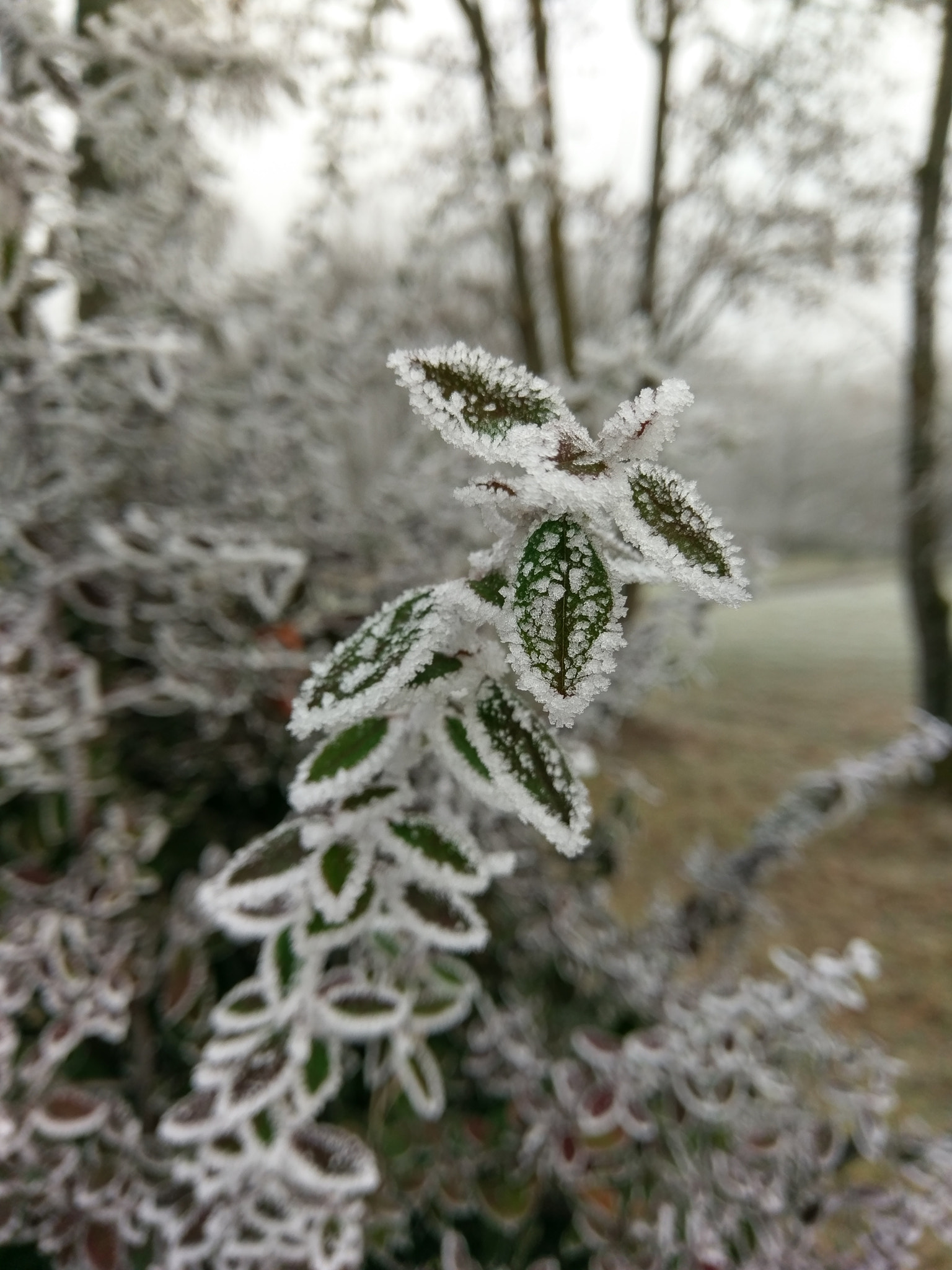 HTC M10 sample photo