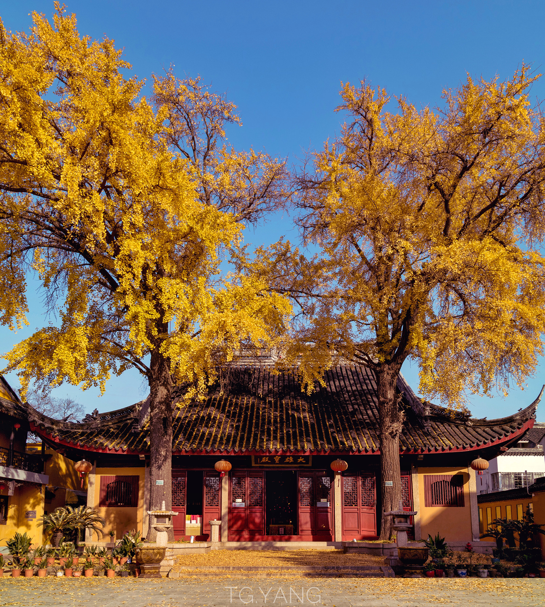 Canon EOS M3 + Canon EF-M 22mm F2 STM sample photo. Autumn in the temple photography