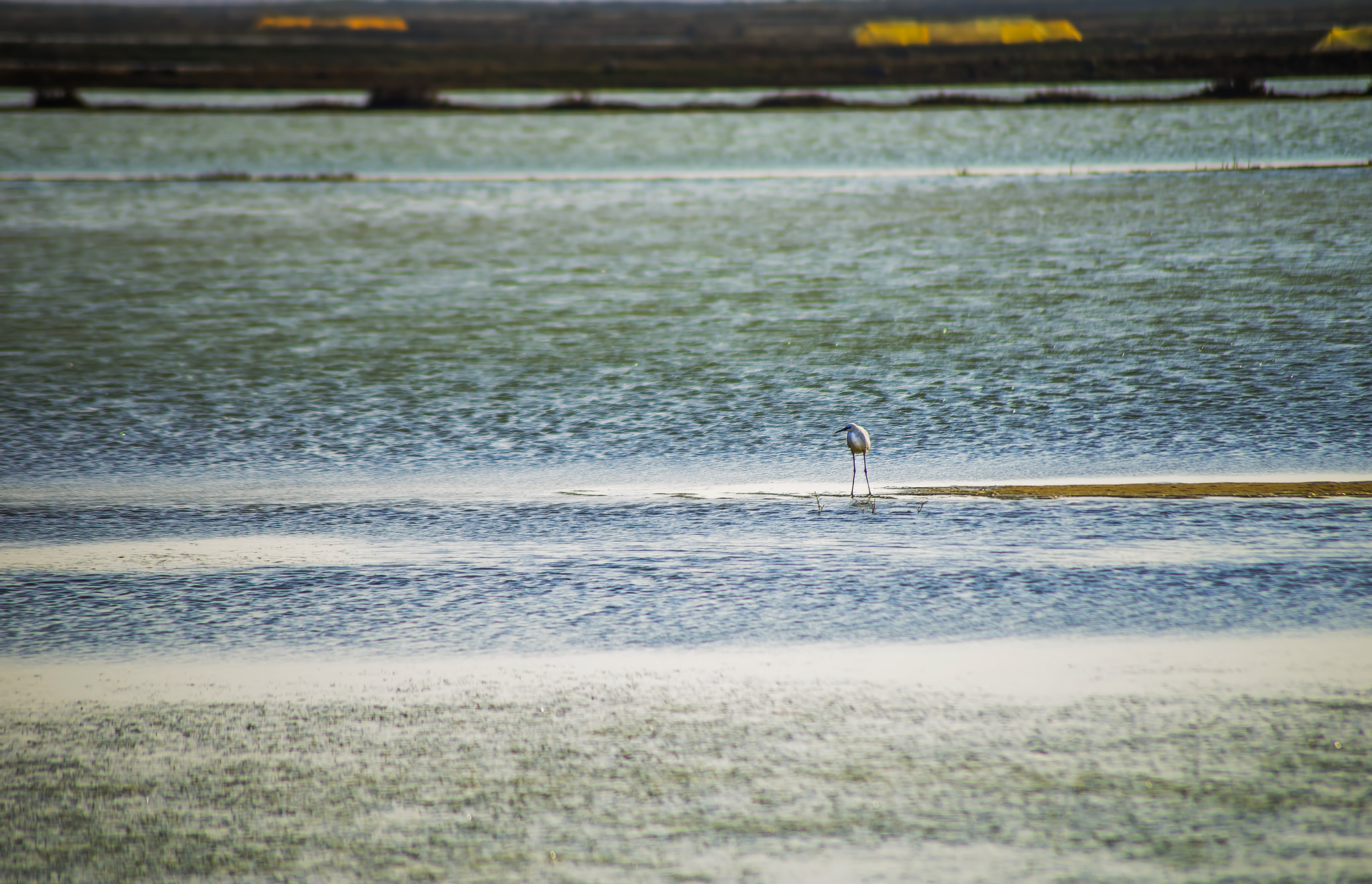 Nikon D800E sample photo. Tiruporur, tamil nadu photography