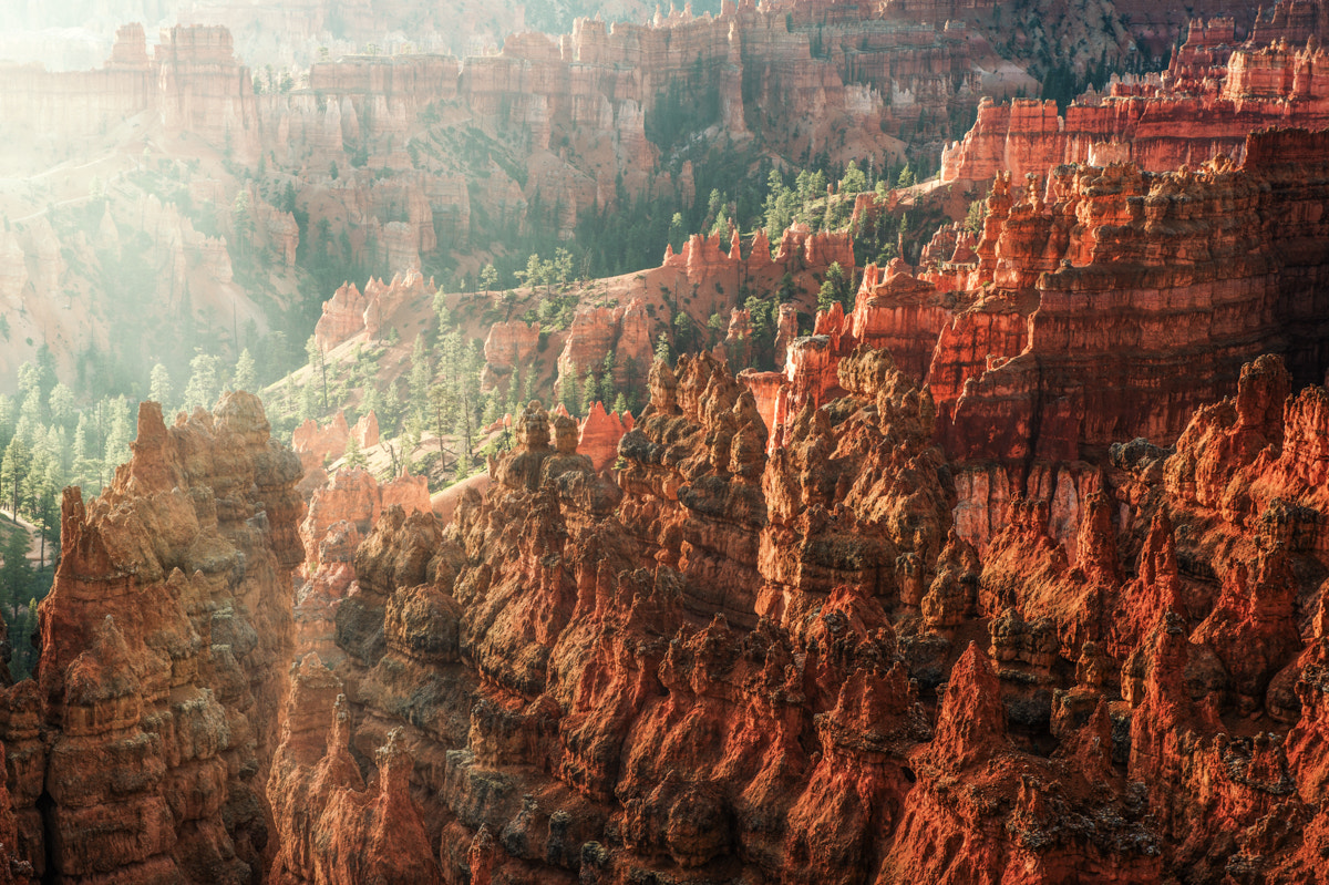 Nikon Df sample photo. Bryce canyon sunrise... photography
