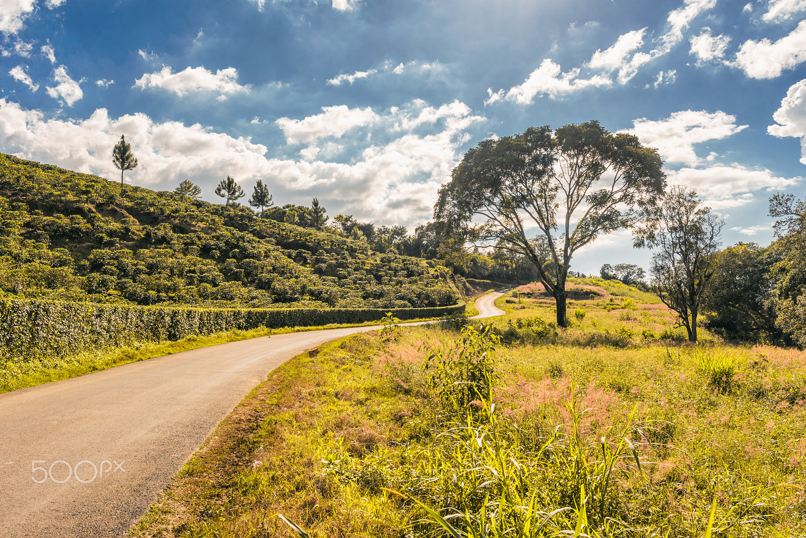 Nikon D610 + Nikon AF-S Nikkor 28mm F1.8G sample photo. New roads photography