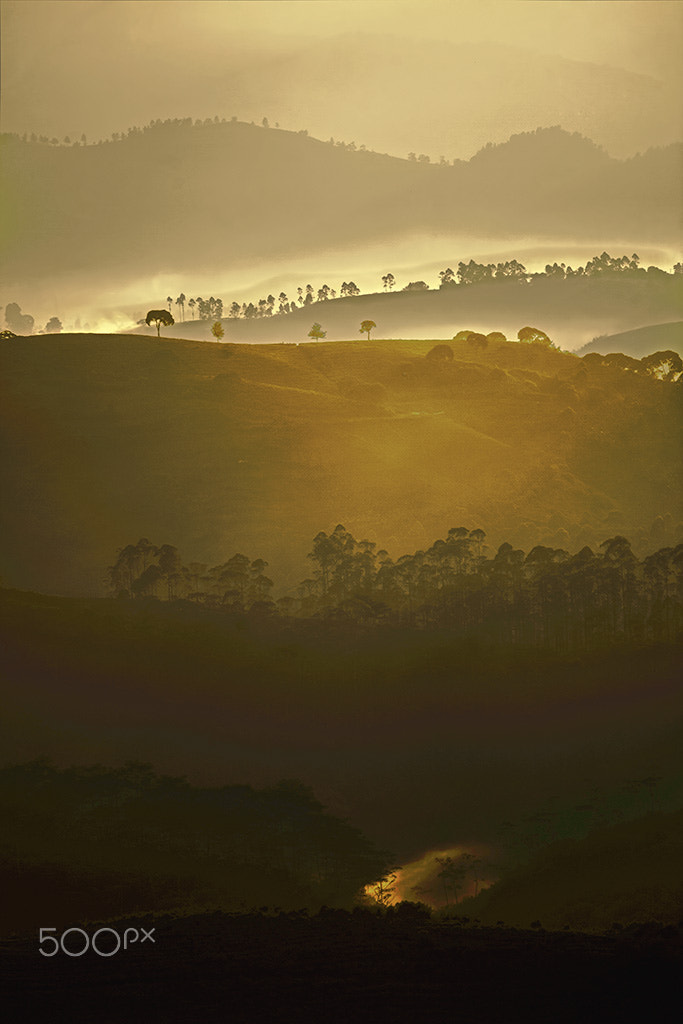Canon EF 300mm F4L IS USM sample photo. Blessing photography