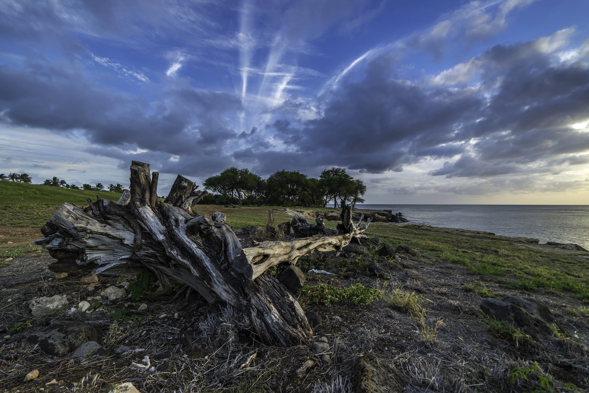 Samyang 14mm F2.8 ED AS IF UMC sample photo. West side sunset photography