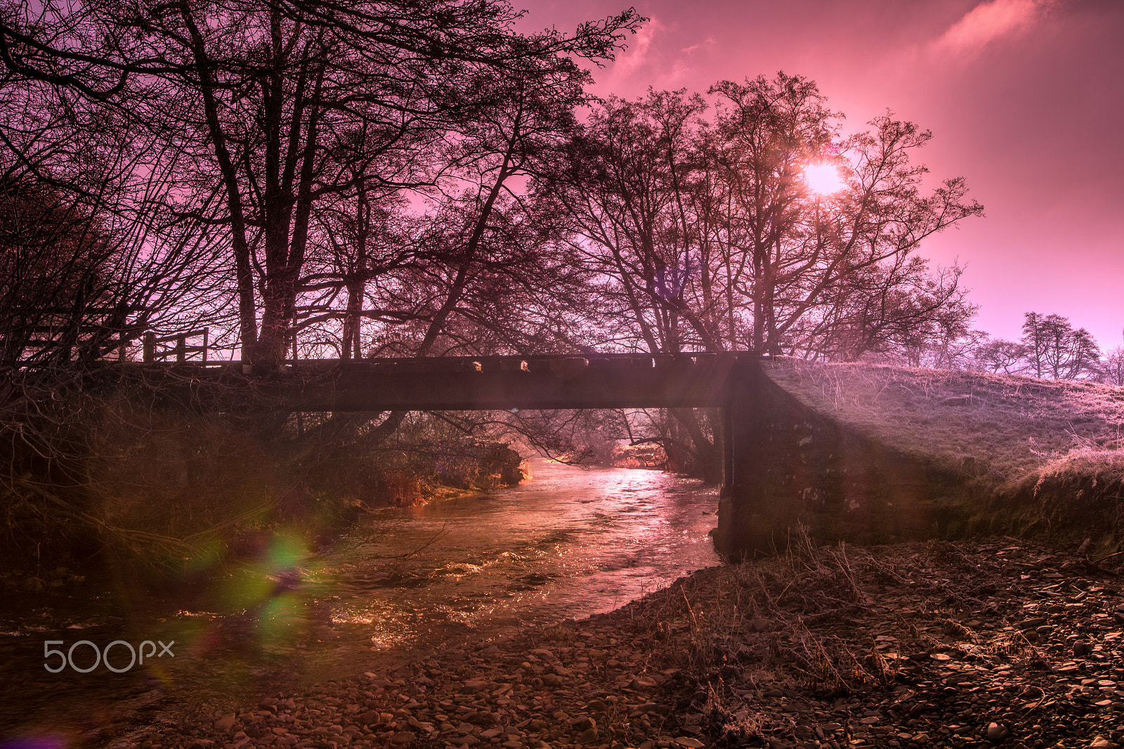 Nikon D500 sample photo. Tales of the river bank photography