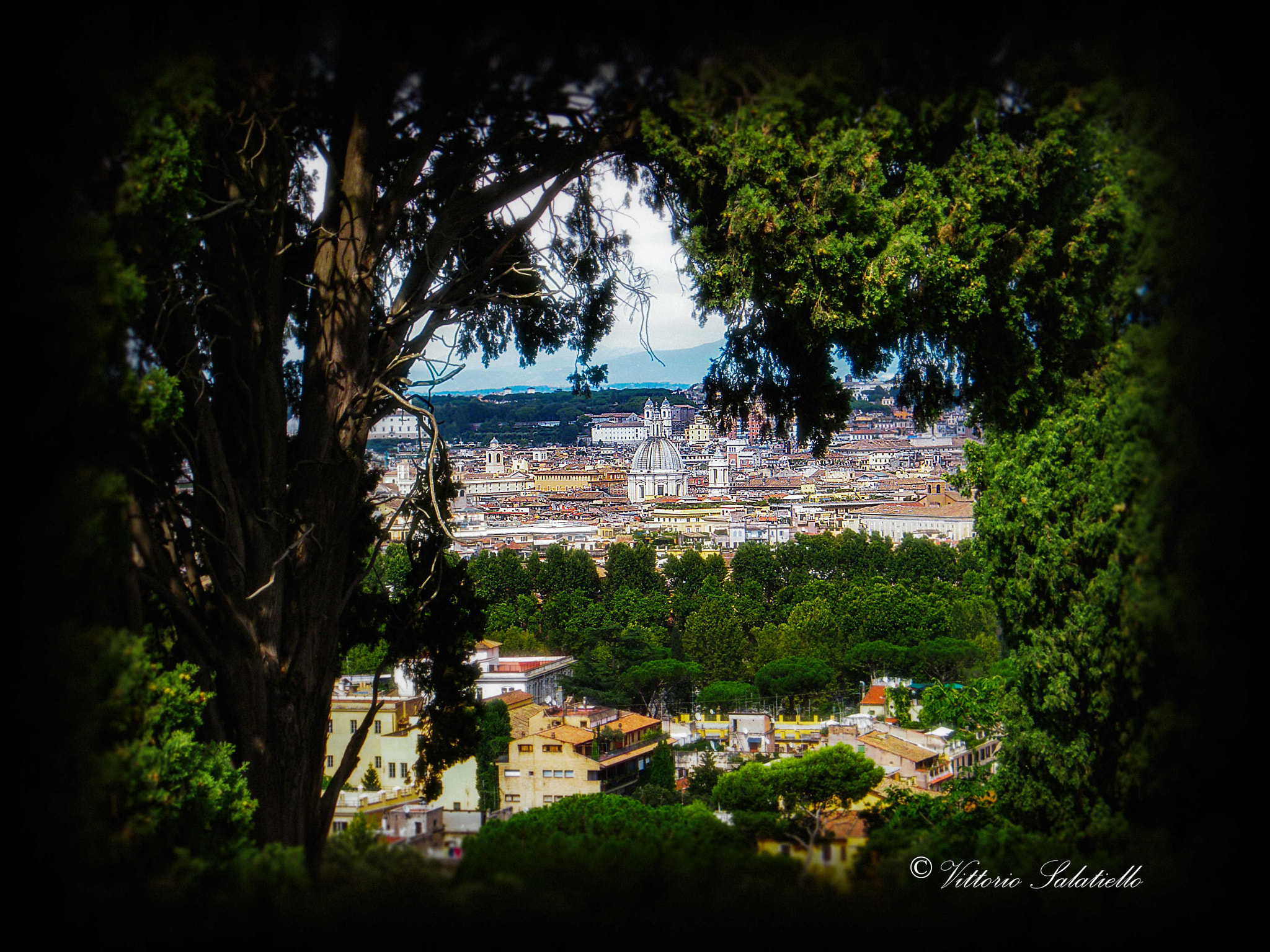 Fujifilm FinePix S2000HD sample photo. Roma photography