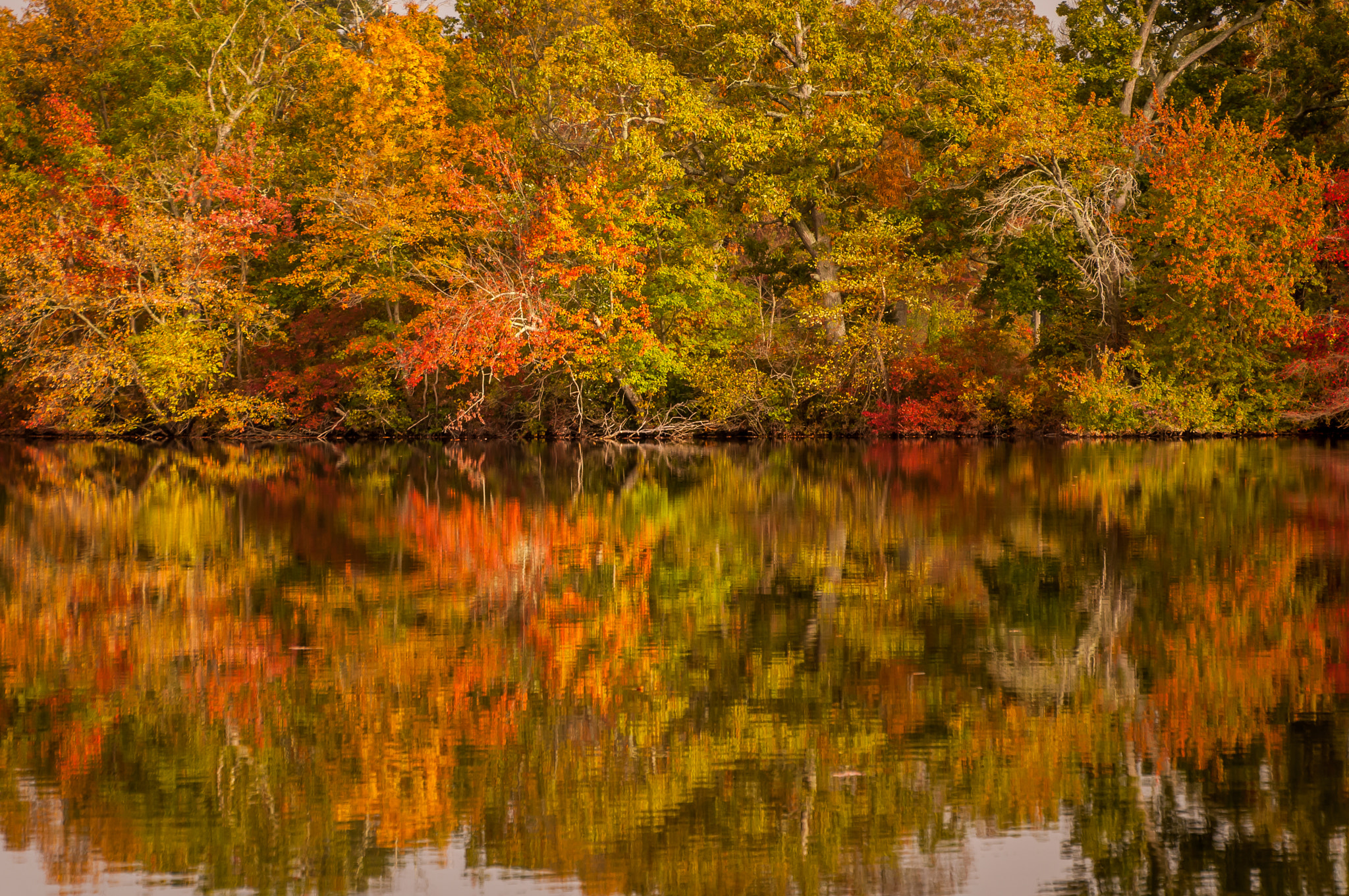 Nikon D300 sample photo. Autumn reflection photography
