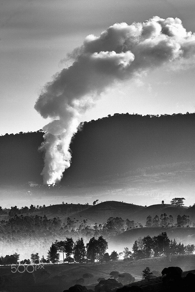 Canon EF 300mm F4L IS USM sample photo. Morning at pangalengan photography