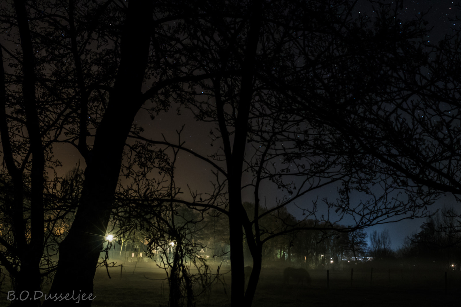 Canon EF-S 24mm F2.8 STM sample photo. Foggy scene photography