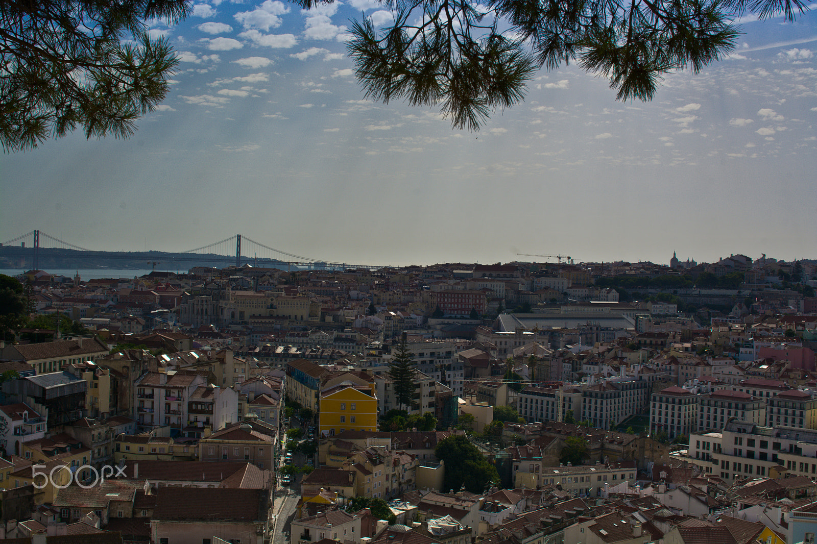 Nikon D7100 + Sigma 30mm F1.4 EX DC HSM sample photo. Lisbon beauty photography
