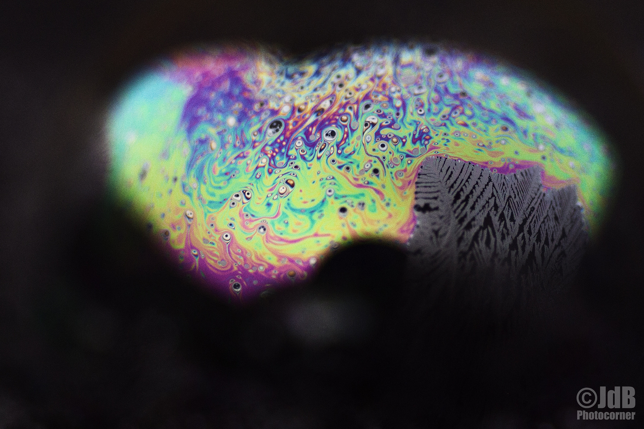 Canon EOS 6D + Tamron SP AF 90mm F2.8 Di Macro sample photo. Freezing bubble photography