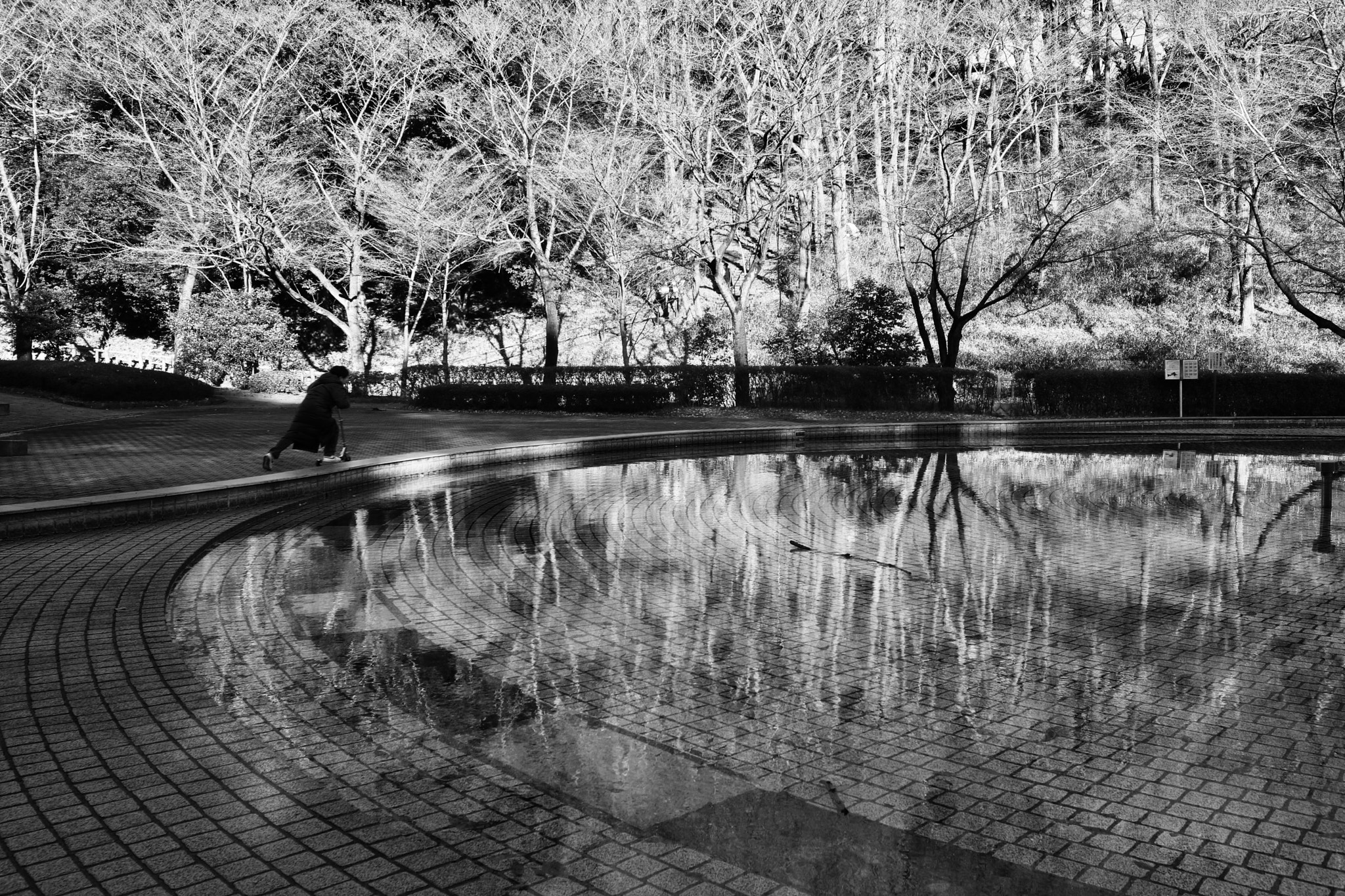 Canon EF-M 11-22mm F4-5.6 IS STM sample photo. Winter park photography