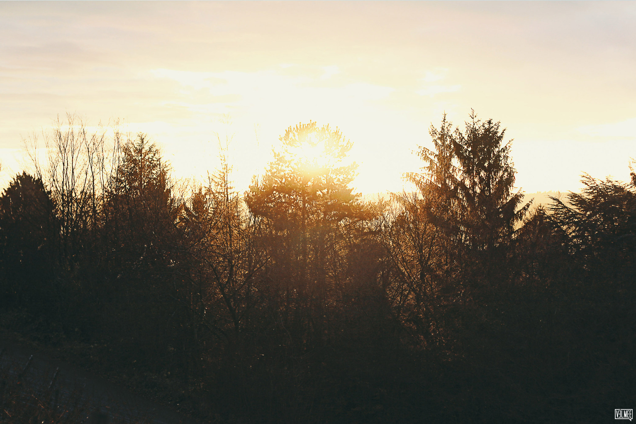 Canon EOS 500D (EOS Rebel T1i / EOS Kiss X3) sample photo. I set sunset on fire photography