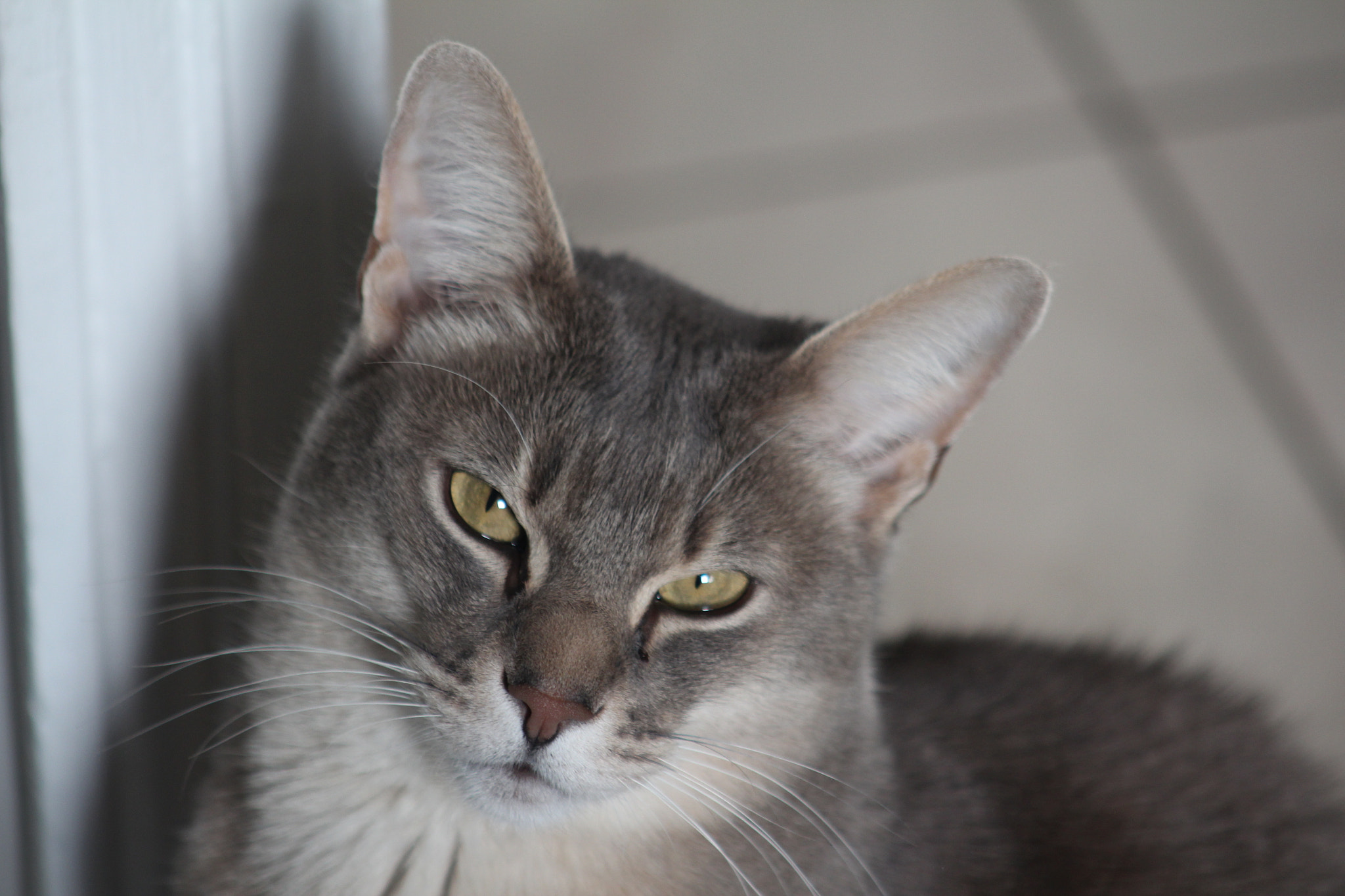 Canon EF 75-300mm f/4-5.6 USM sample photo. Img photography
