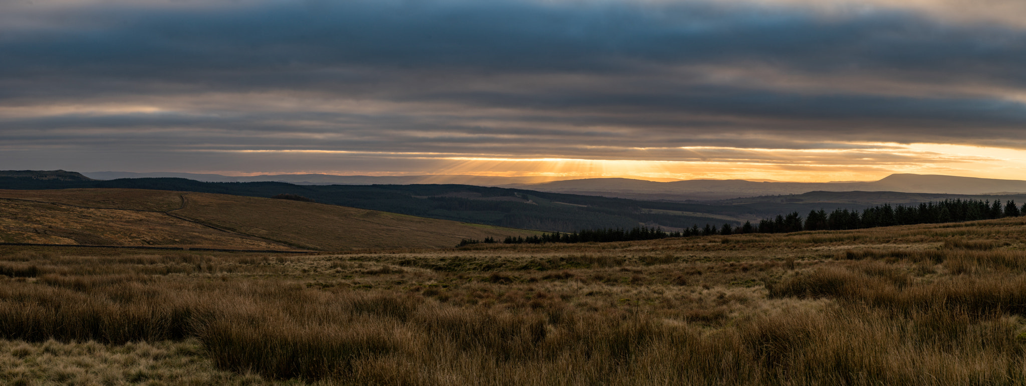 Sony a7 II + Tamron SP 24-70mm F2.8 Di VC USD sample photo. Countryside in bowland photography