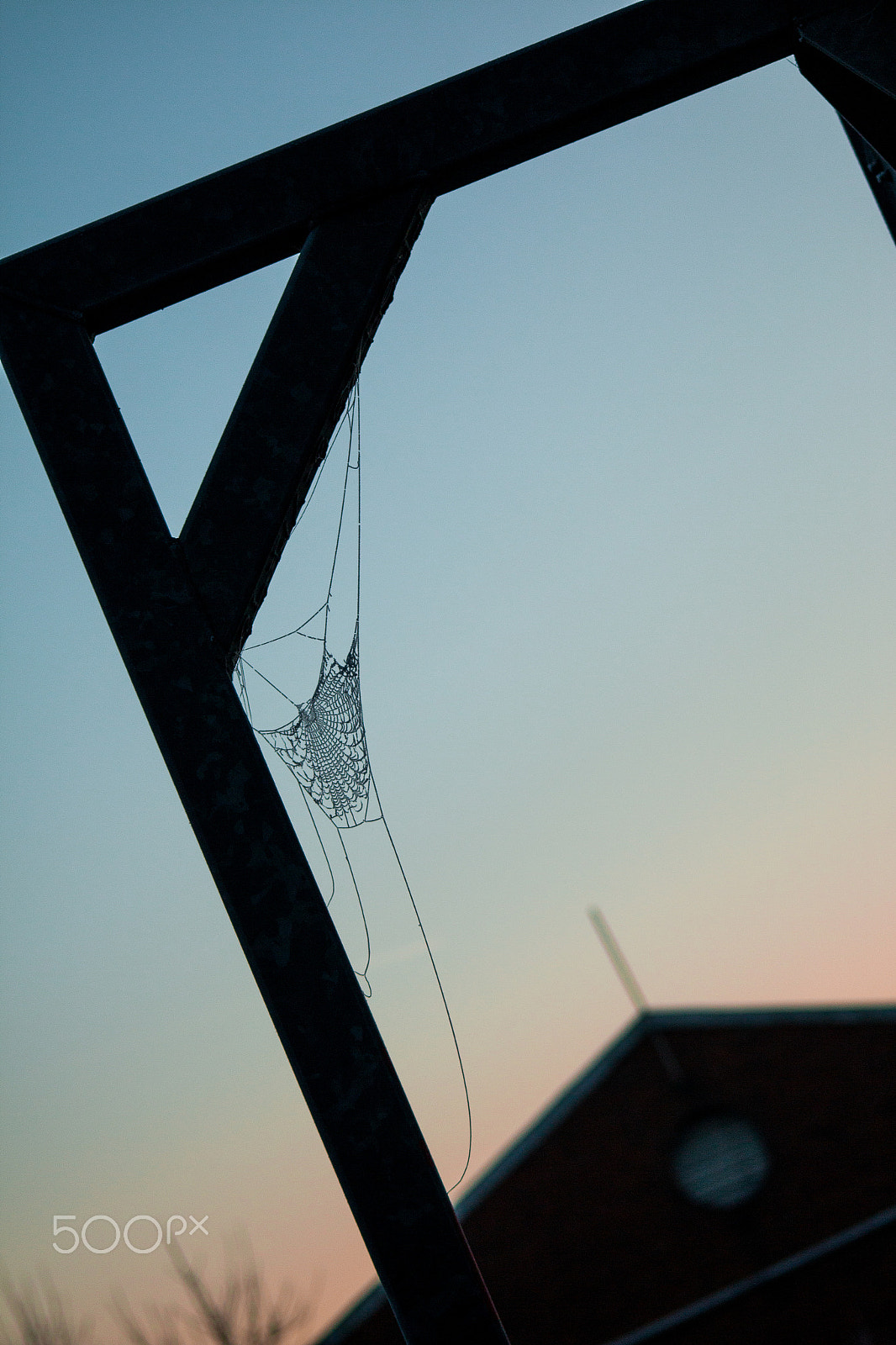 Canon EOS 70D + Sigma 50-200mm F4-5.6 DC OS HSM sample photo. Frozen web photography