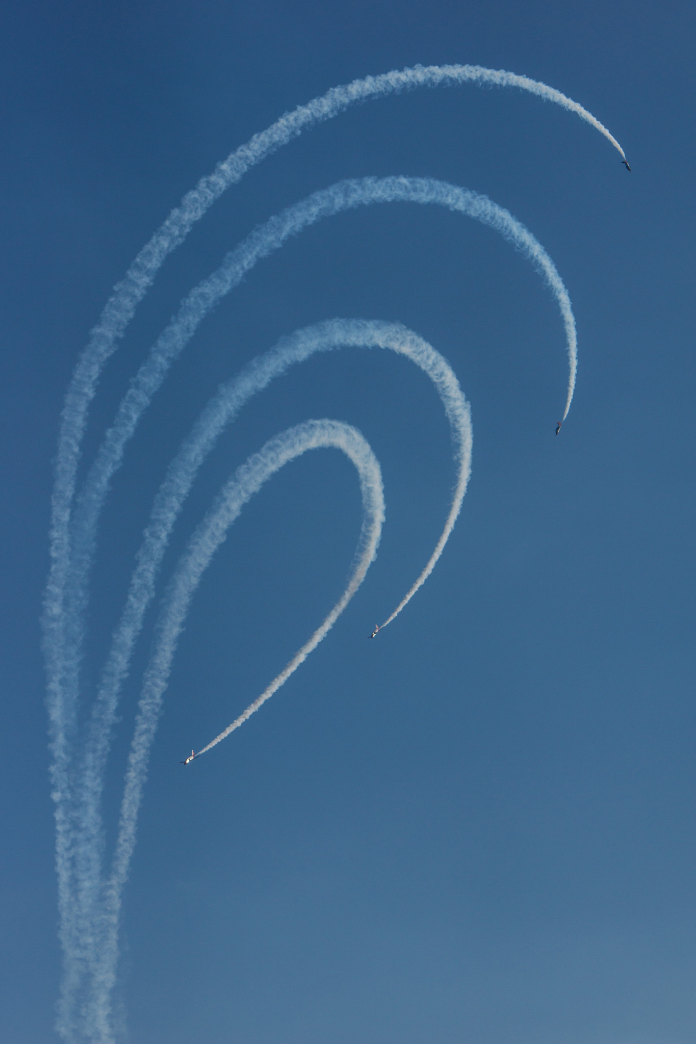 Sony 70-400mm F4-5.6 G SSM II sample photo. Airpower flower photography