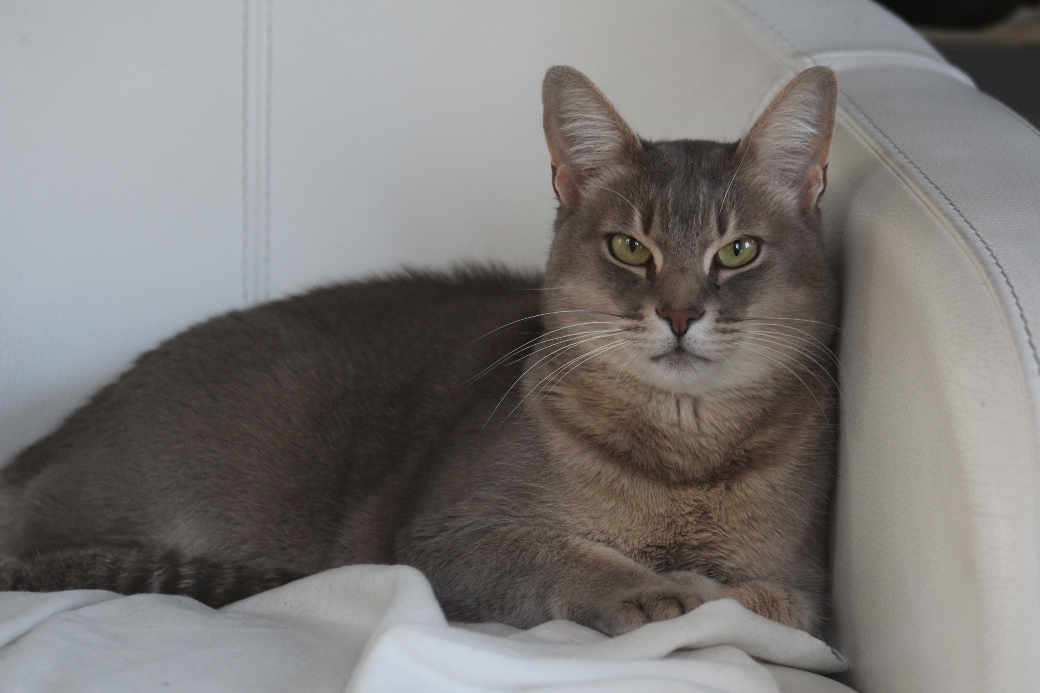 Canon EF 75-300mm f/4-5.6 USM sample photo. Img photography