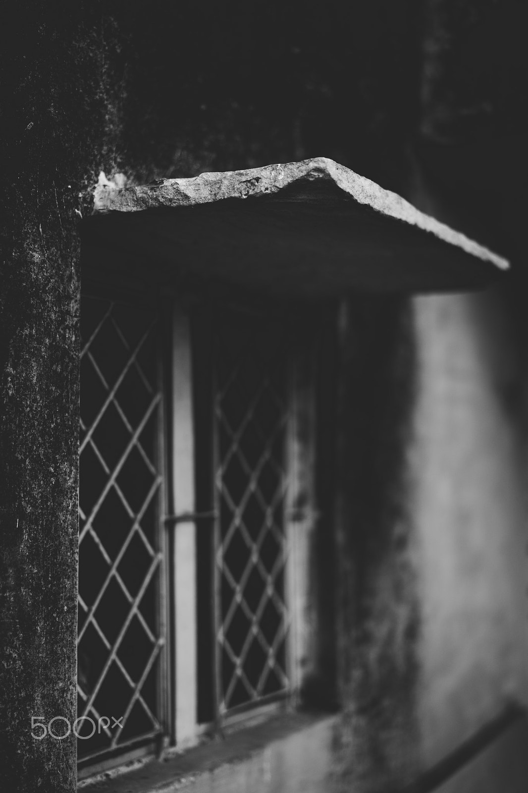 Sony Planar T* FE 50mm F1.4 ZA sample photo. By the glass photography