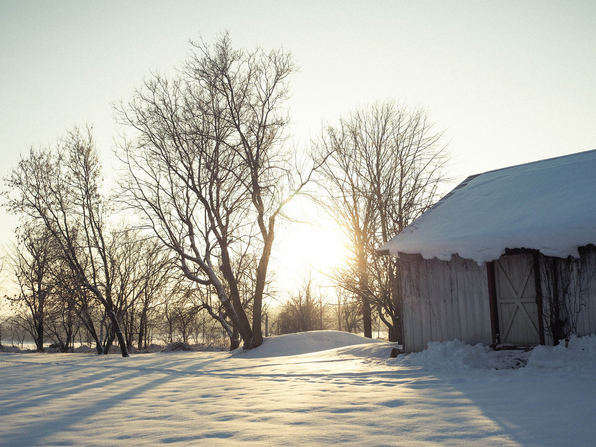 Olympus OM-D E-M10 + Olympus M.Zuiko Digital 17mm F2.8 Pancake sample photo. A barn photography